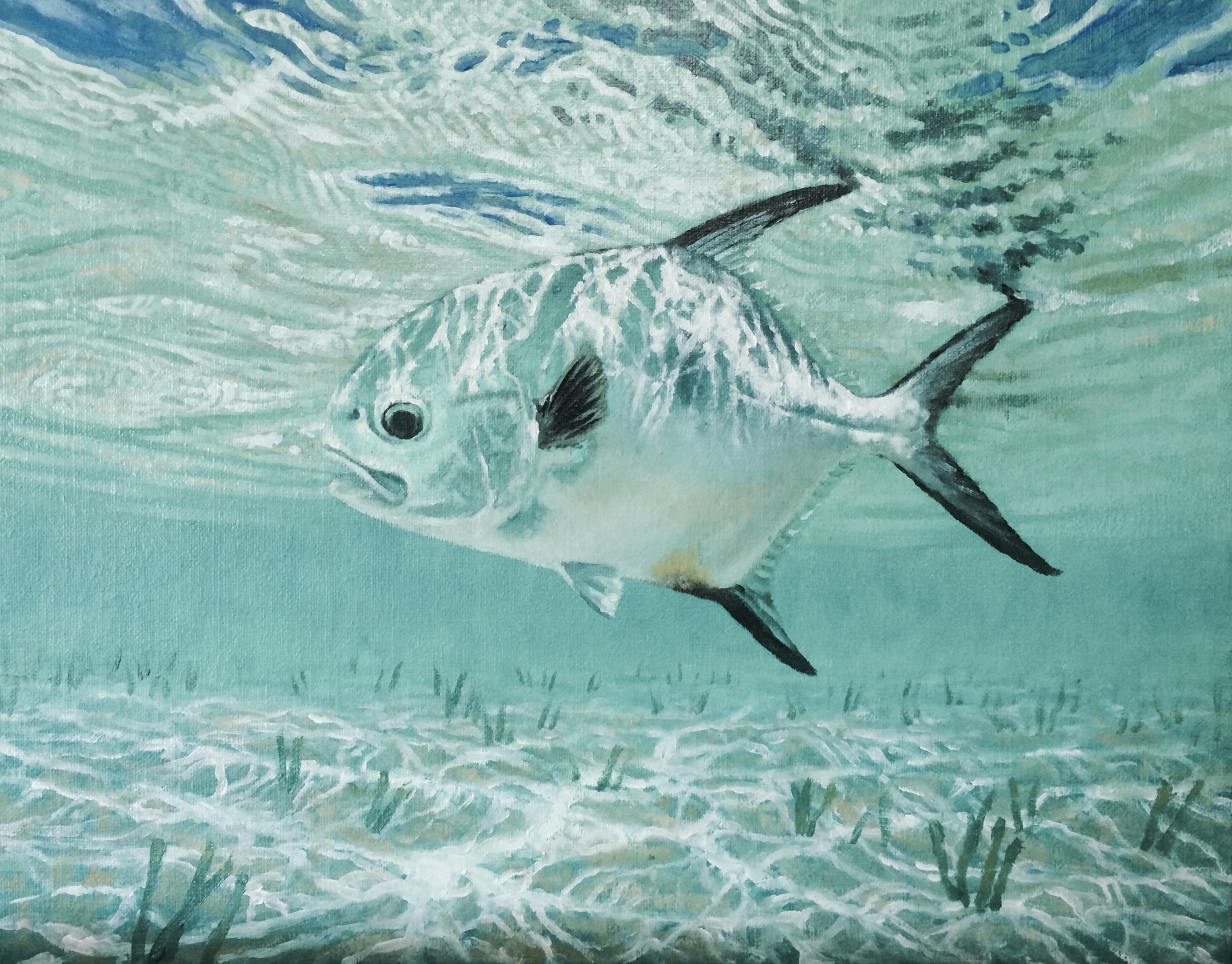 "Permit in Light"