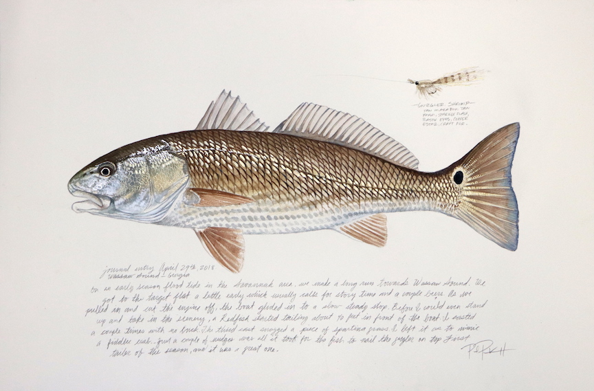 Wassaw Sound Redfish Small.jpeg