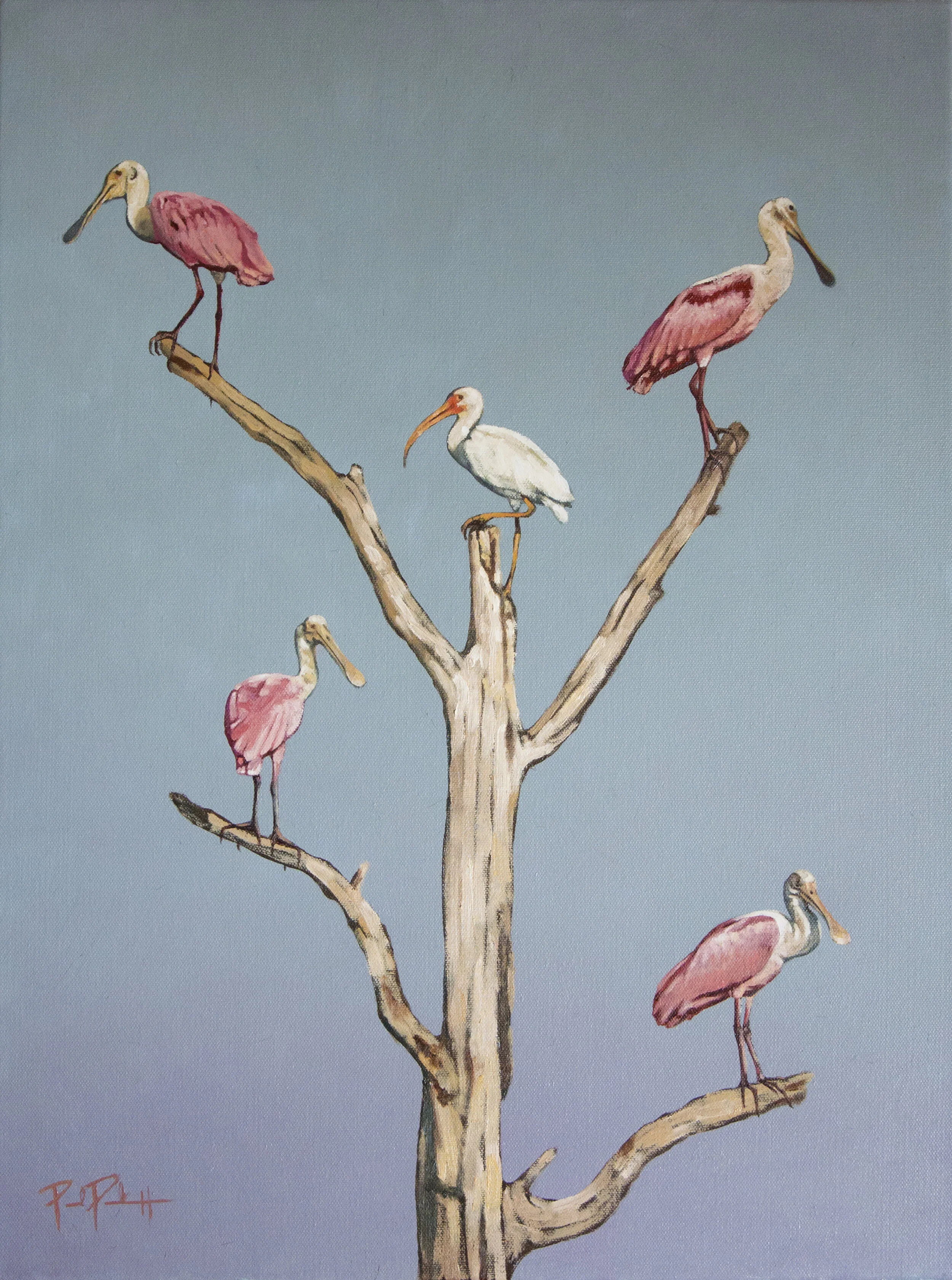 Sporting Art Of Paul Puckett