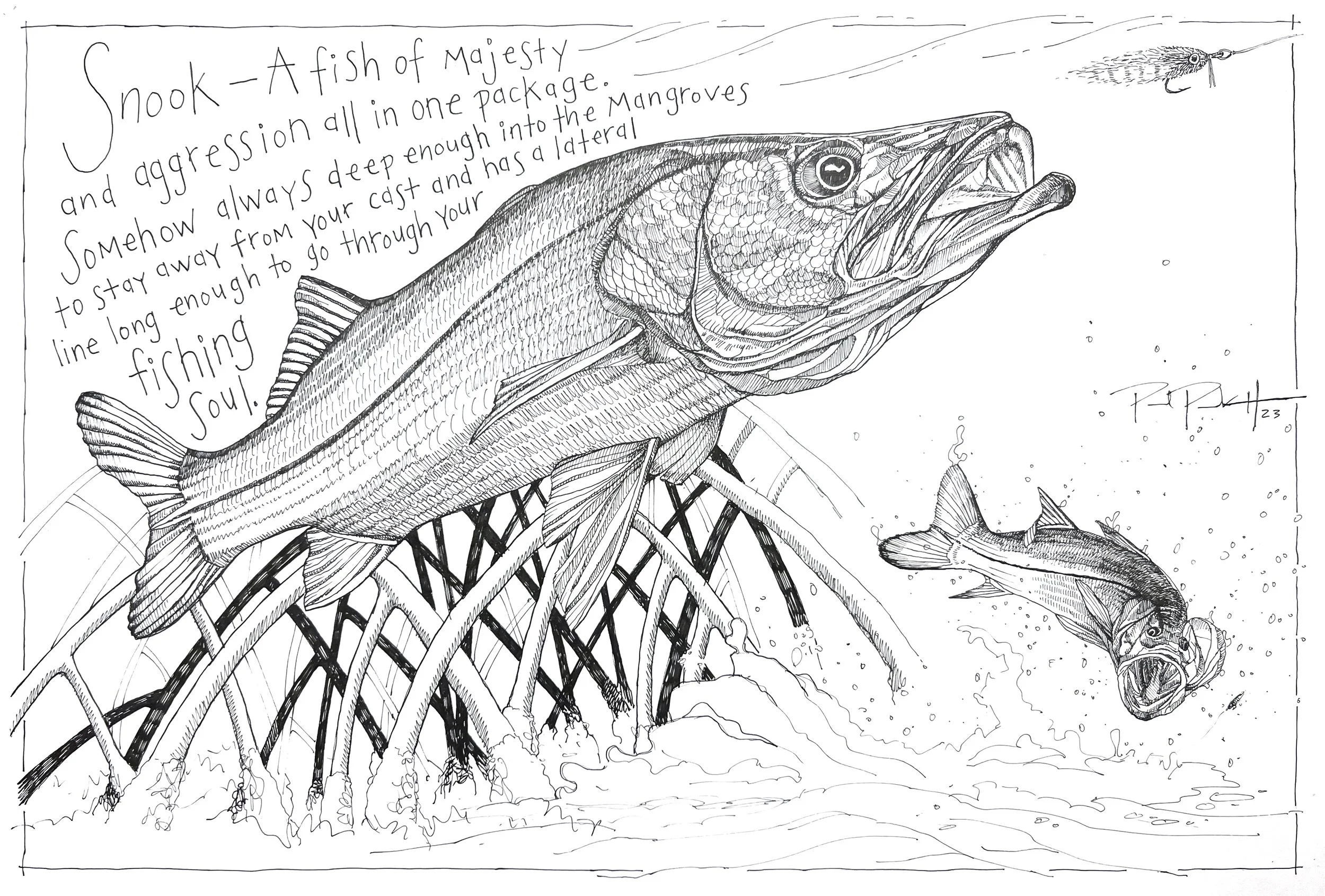 Snook Drawing