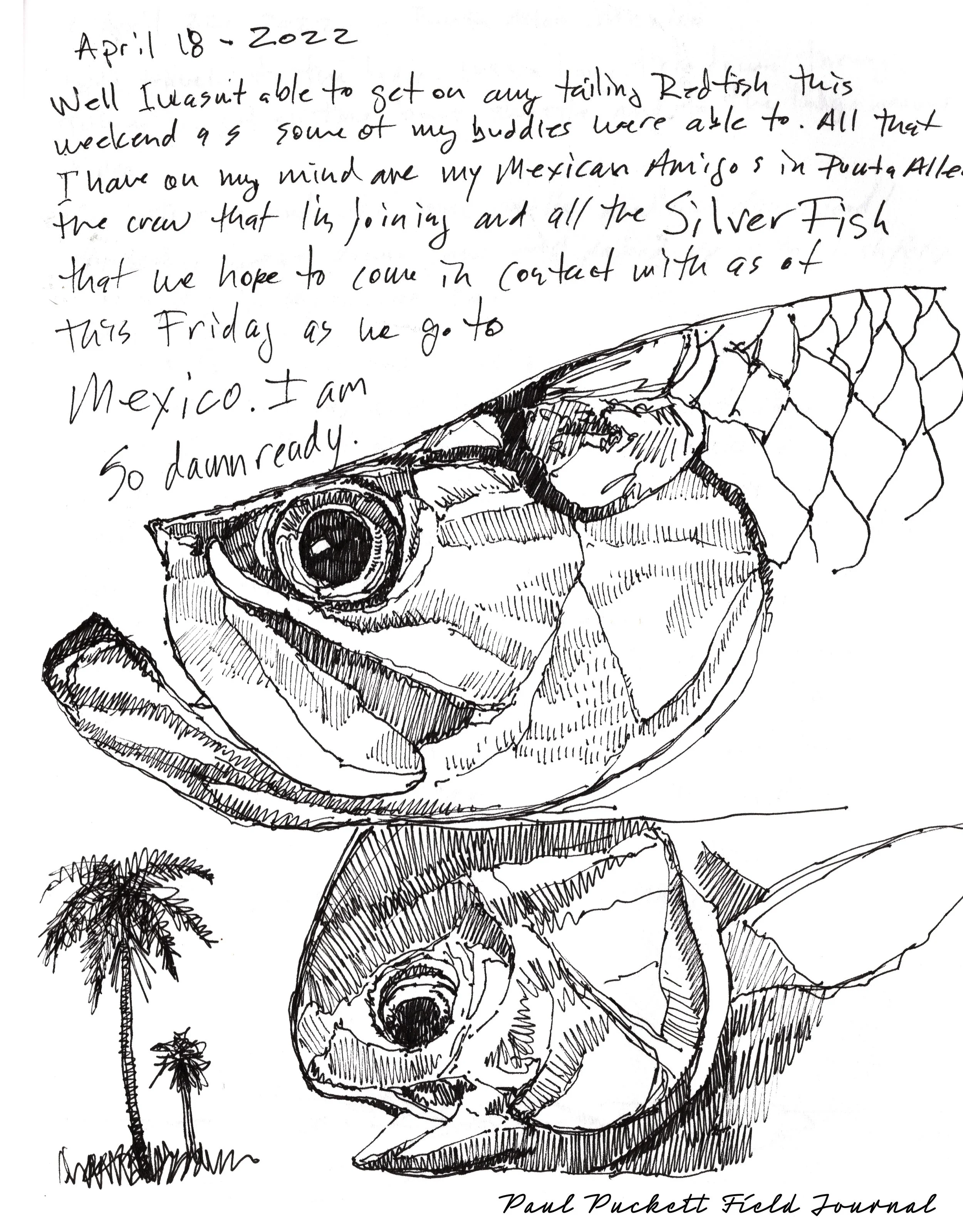 Silver Fishes.jpg