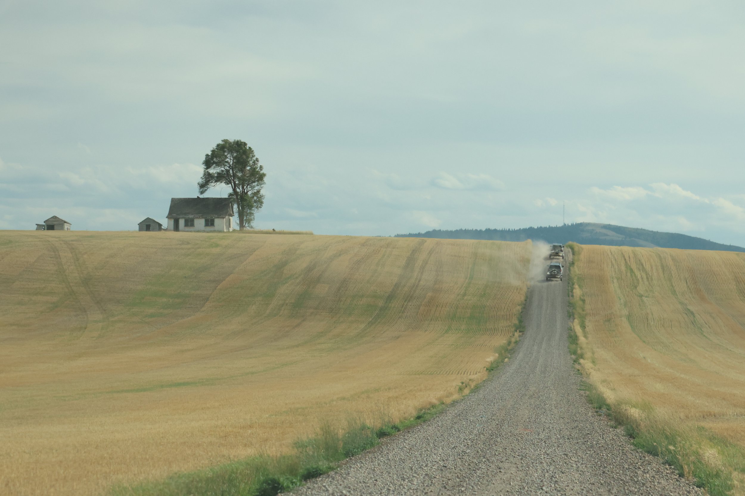 A cool field pic in Idaho