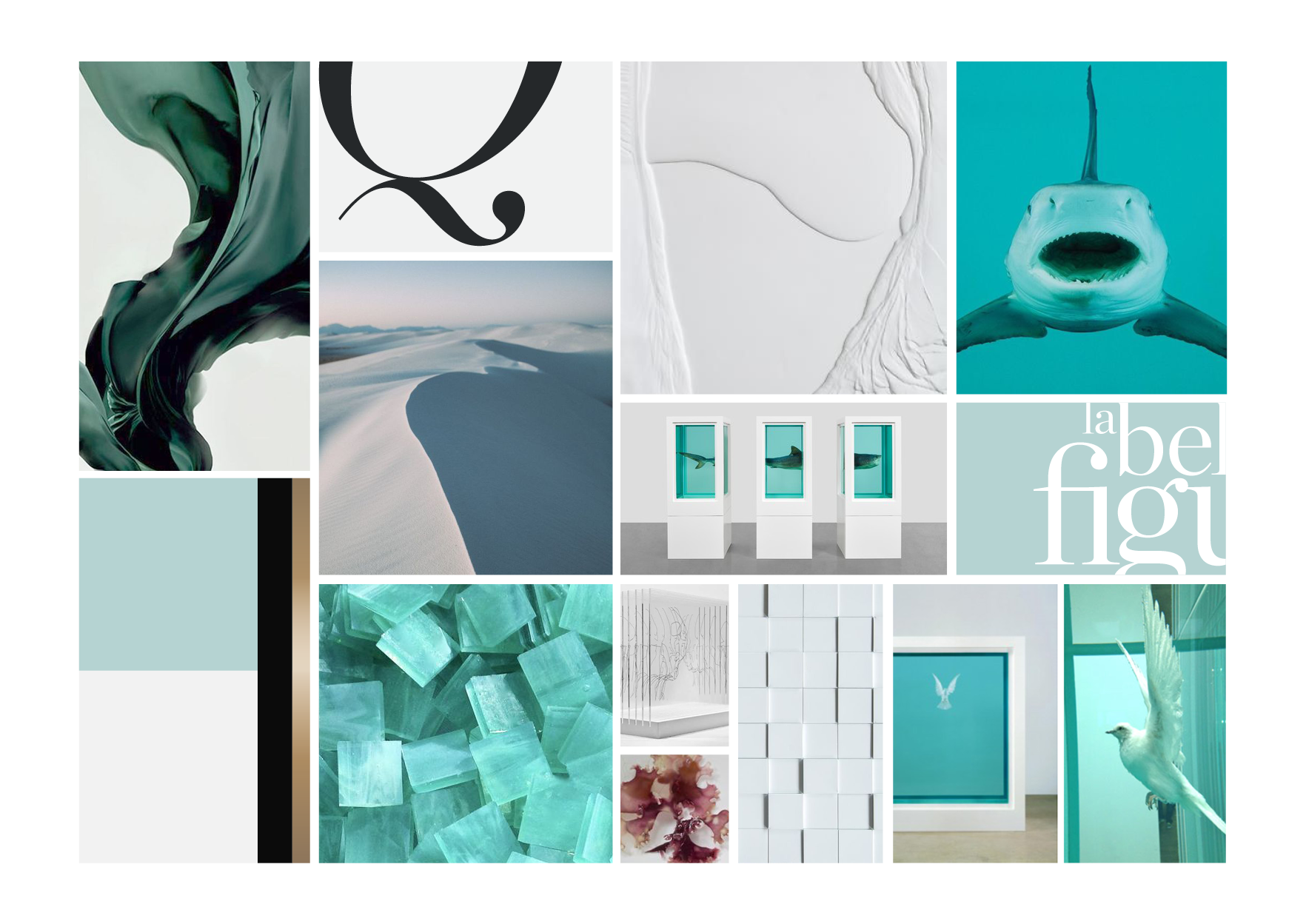 Insignia_WEB5.png