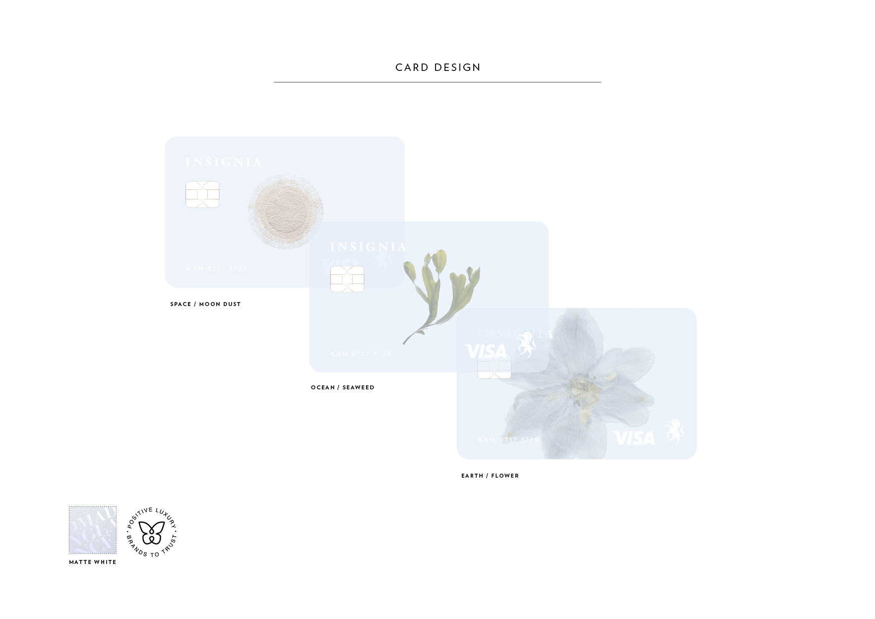 Insignia_WEB7.png