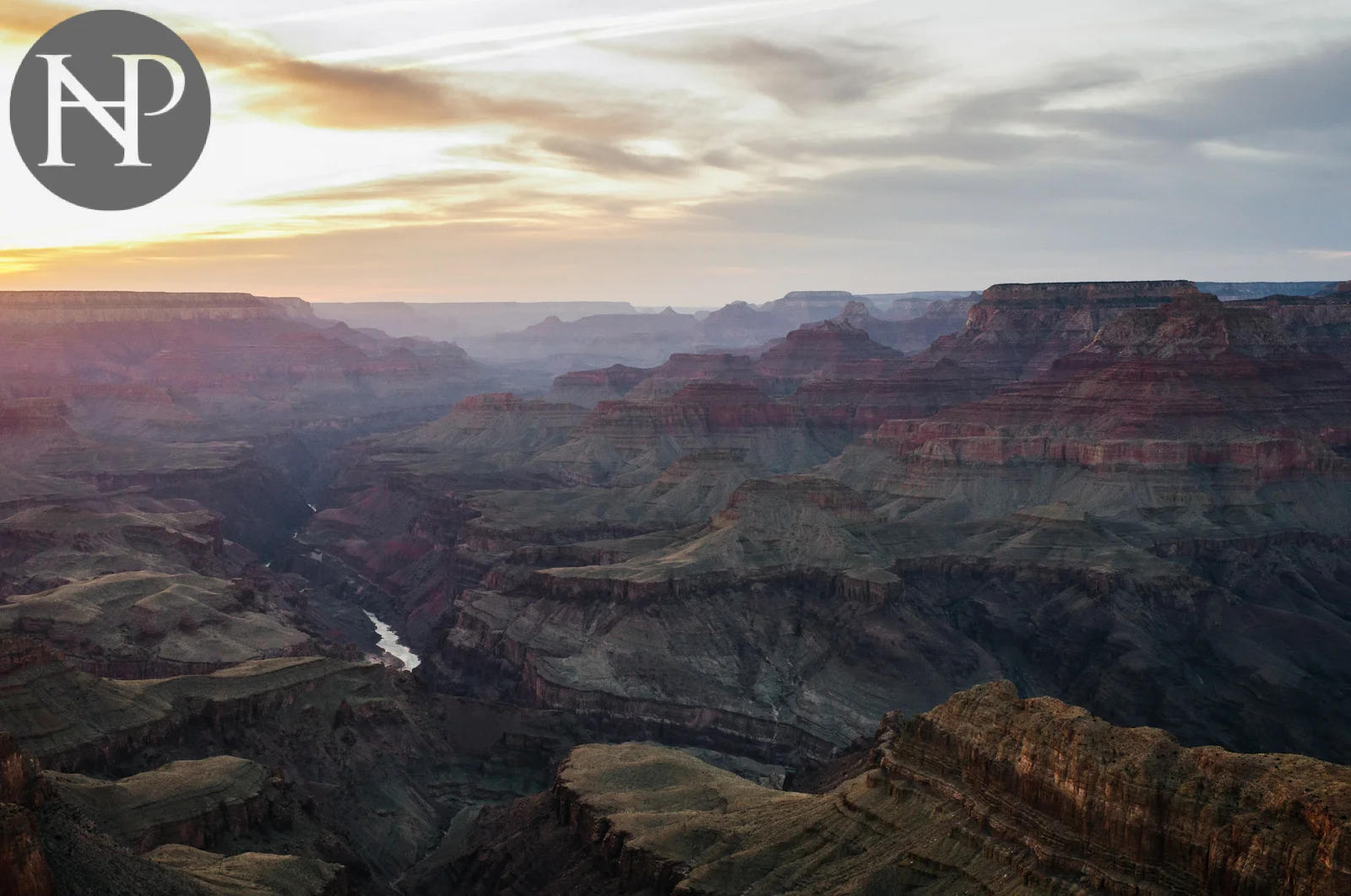 _NHP2966.jpg