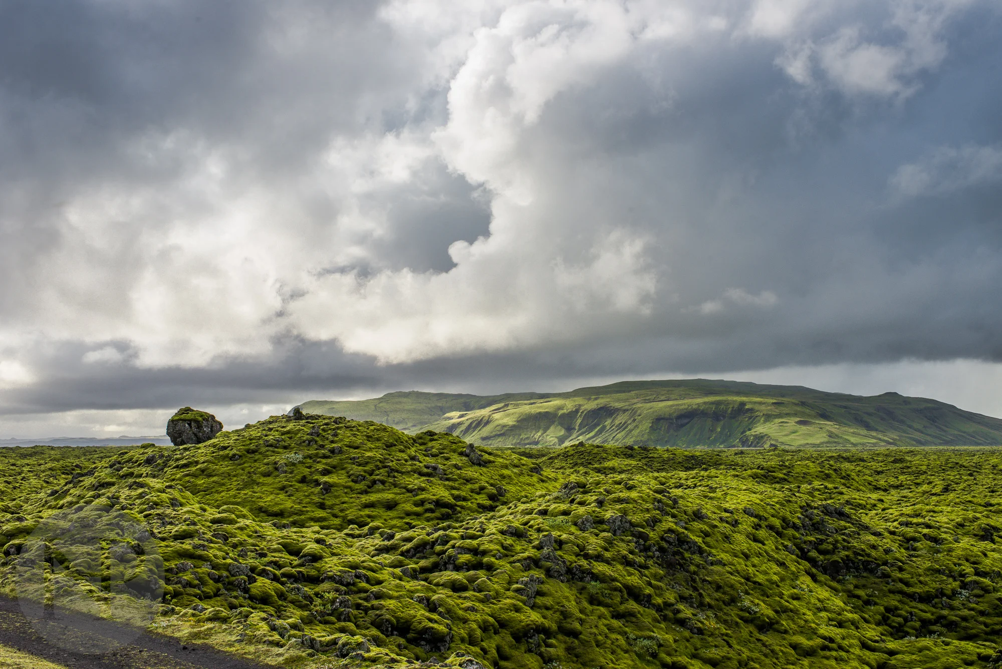 Moss covered mounds of volcanic rock