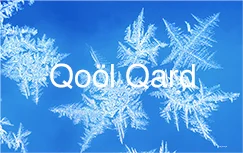 QoolQard_2014_FrostyType_72.jpg