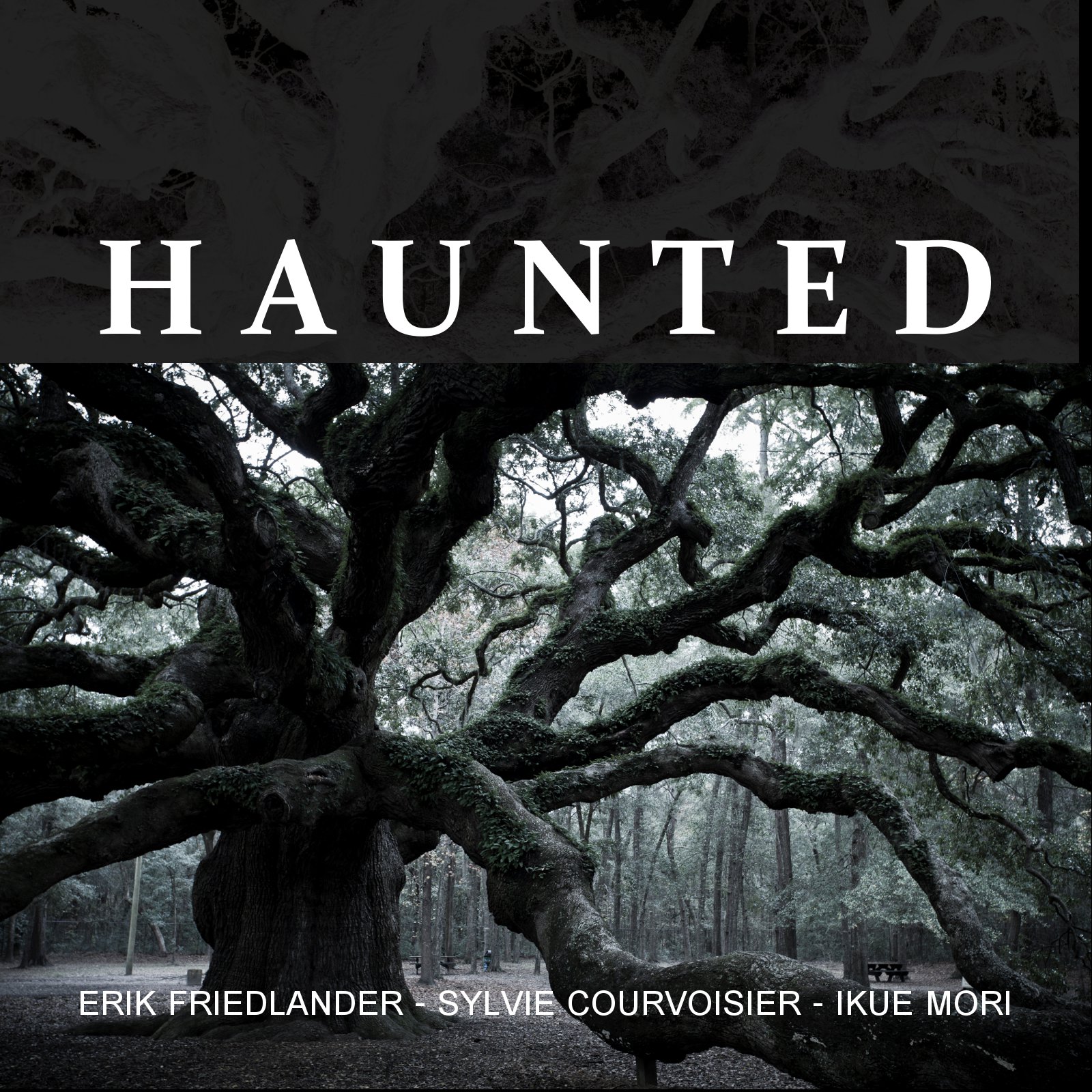 haunted_cover.jpg
