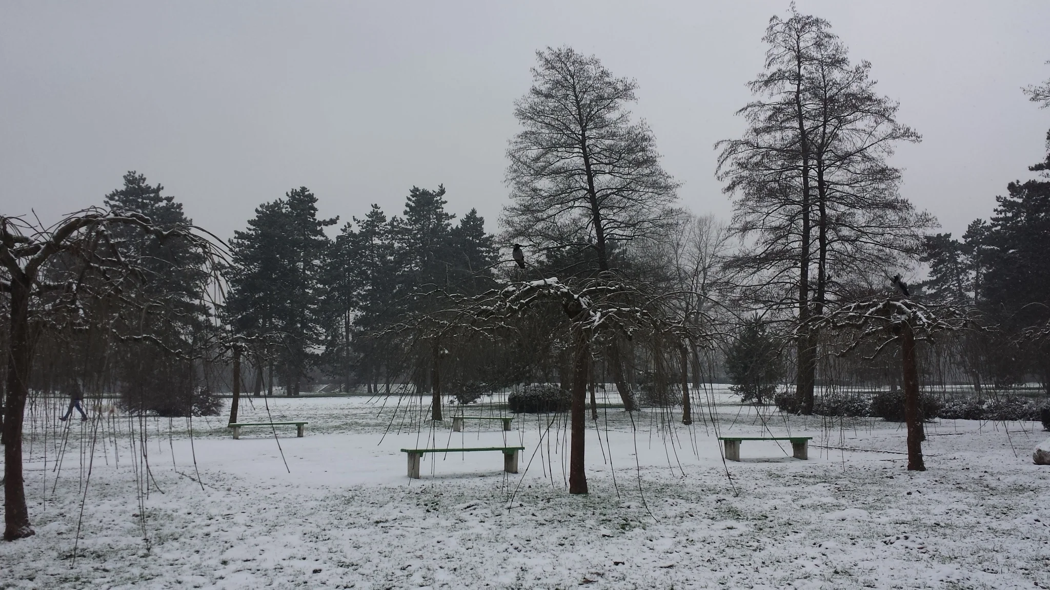 2014-01-28 13.50.19.jpg