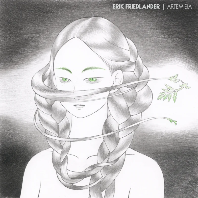 Artemisia_Slipcase_FrontCover.jpg