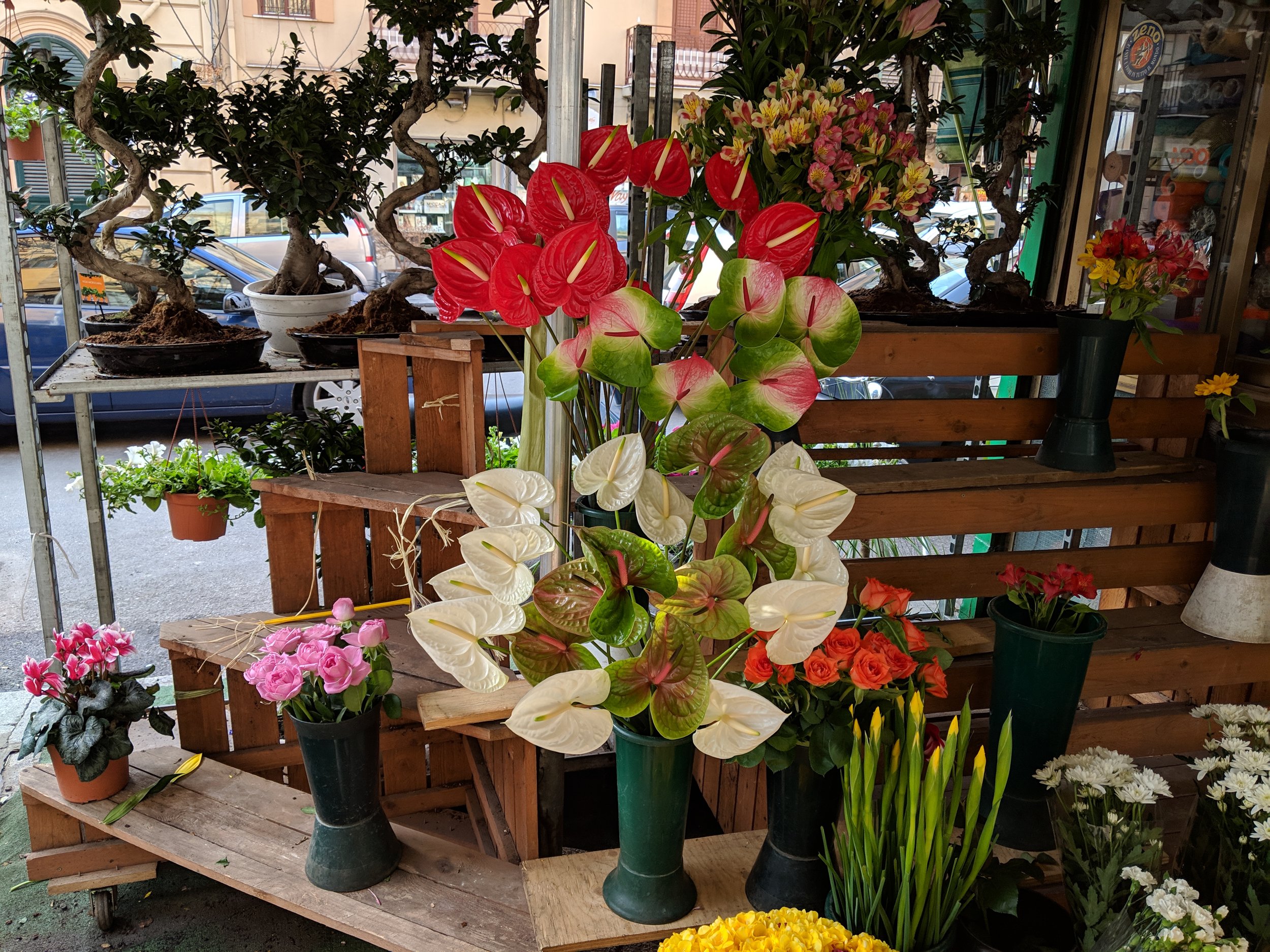IMG_20190401_091413.jpg
