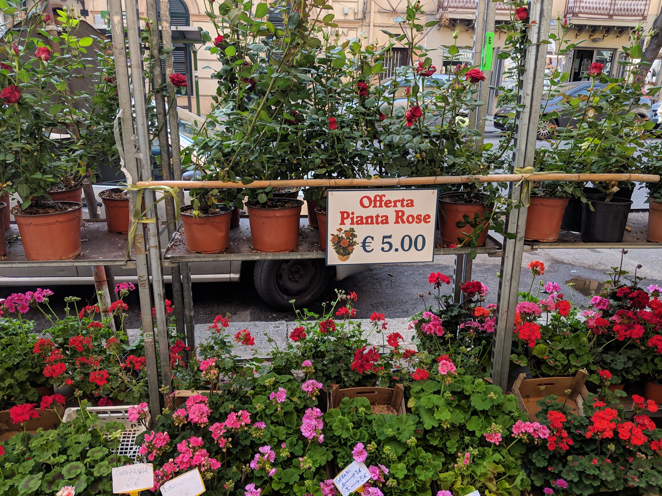 IMG_20190401_091422.jpg