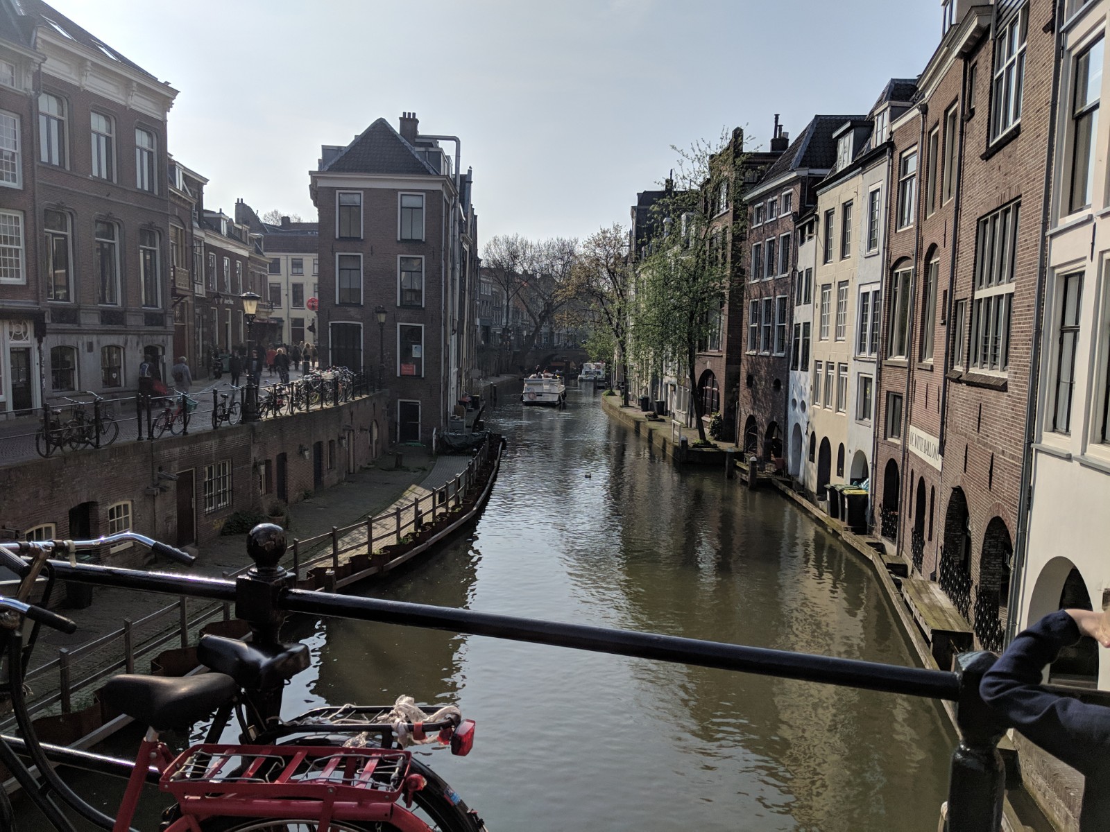 IMG_20190407_103913.jpg