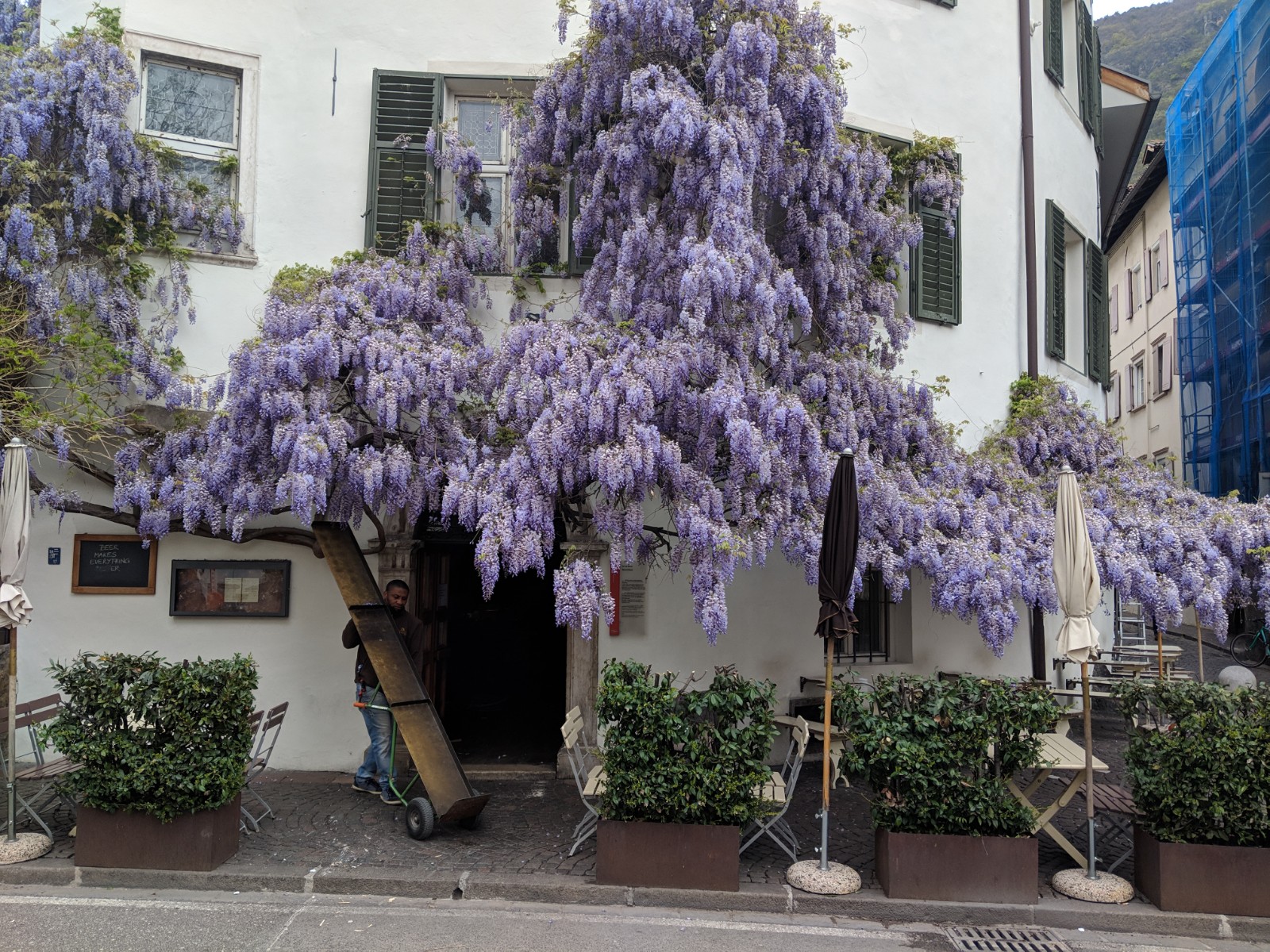 IMG_20190408_105433.jpg