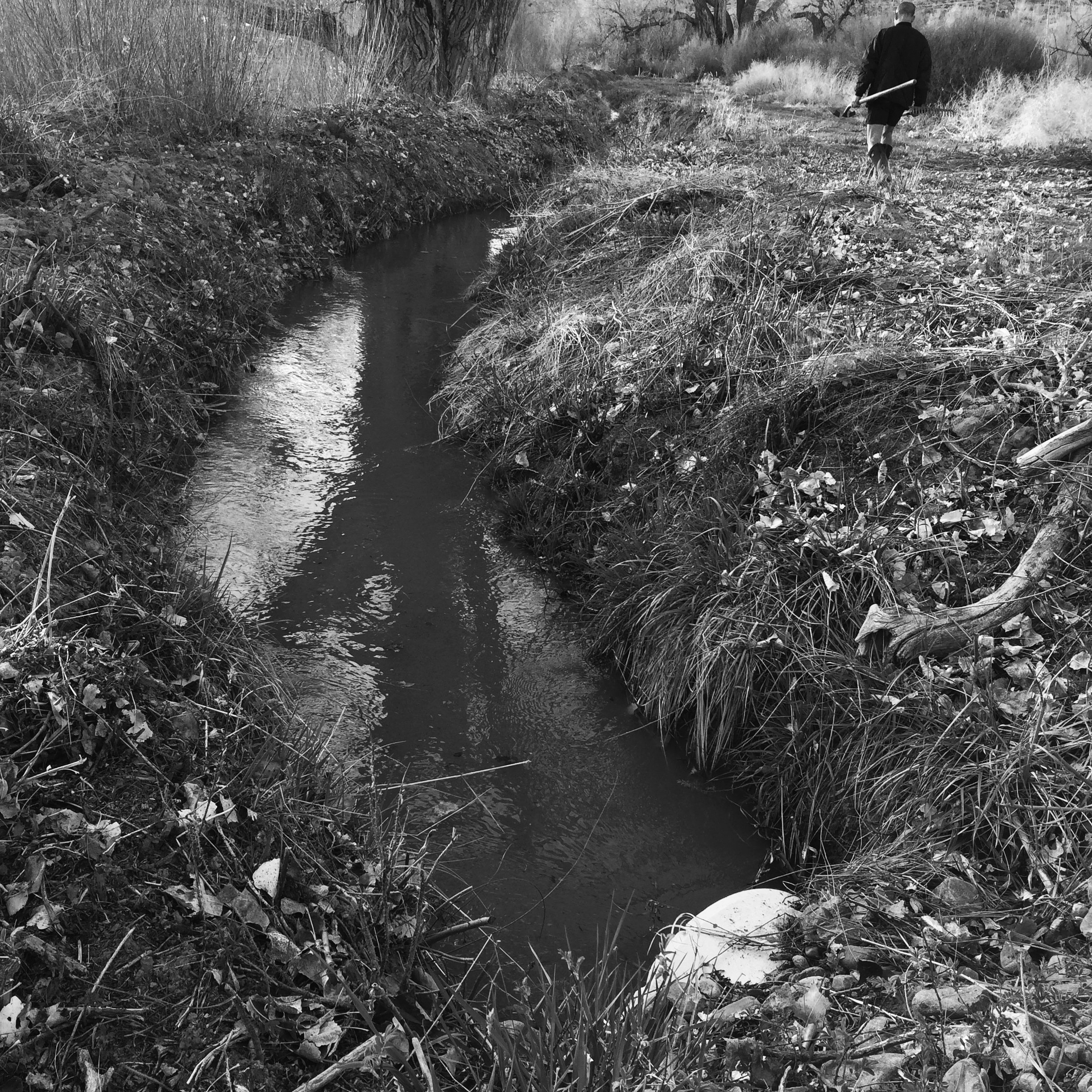 Acequia Running