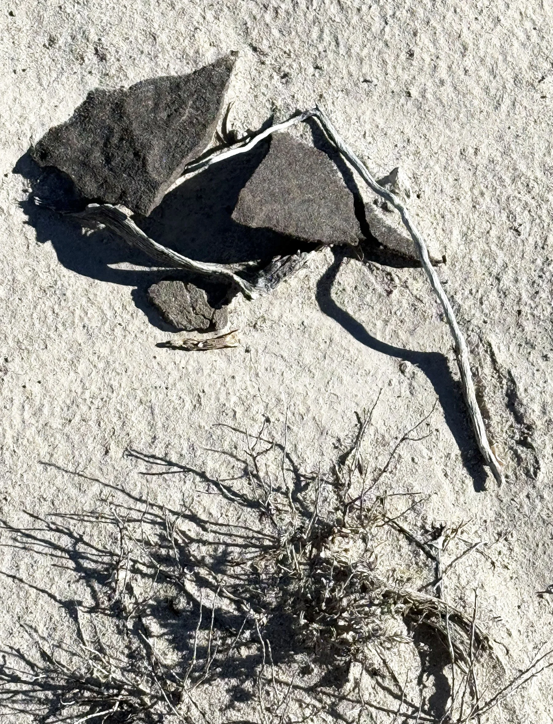 Lybrook Clay Chips