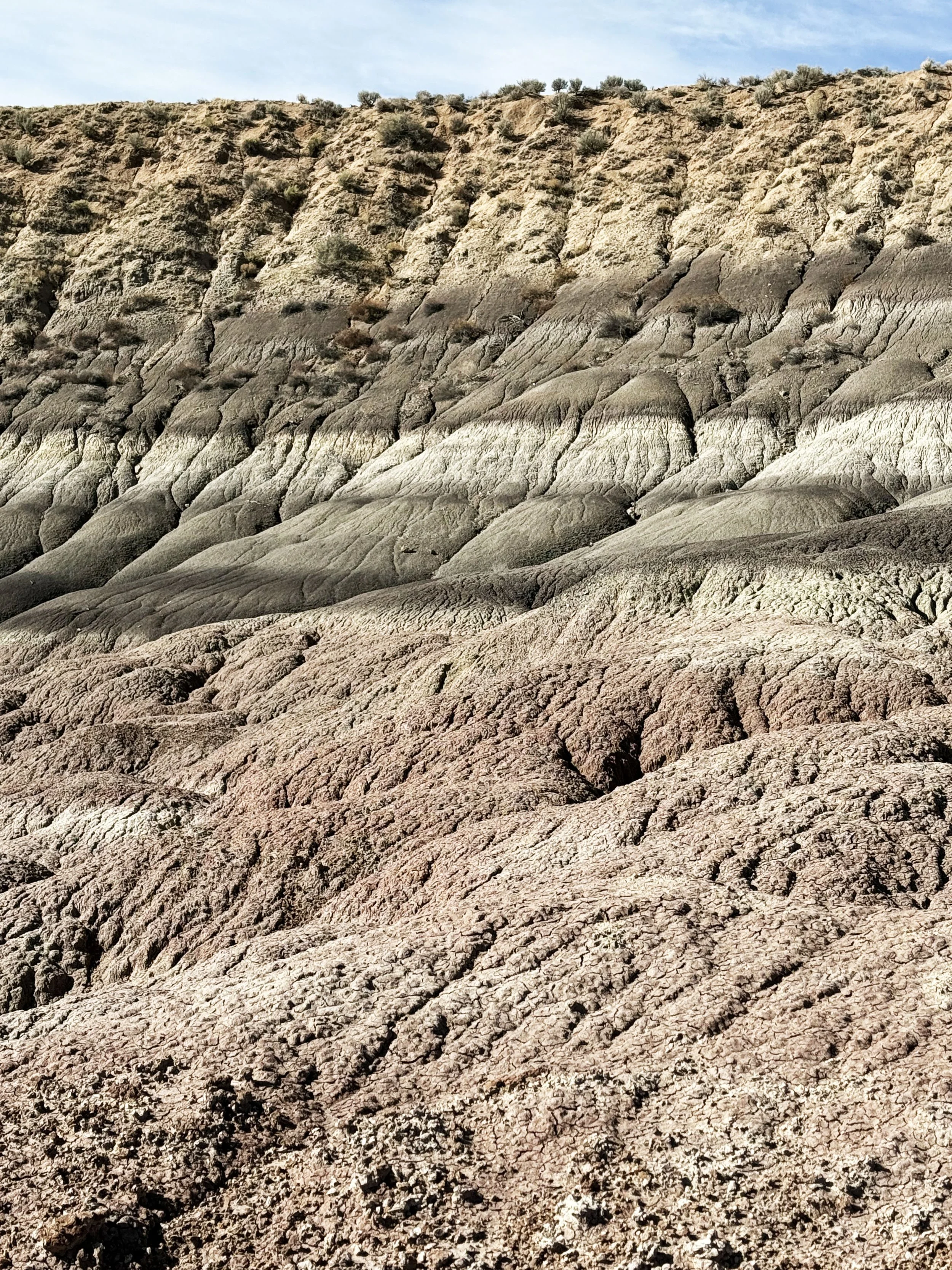 Tinted Striations of Earth's History