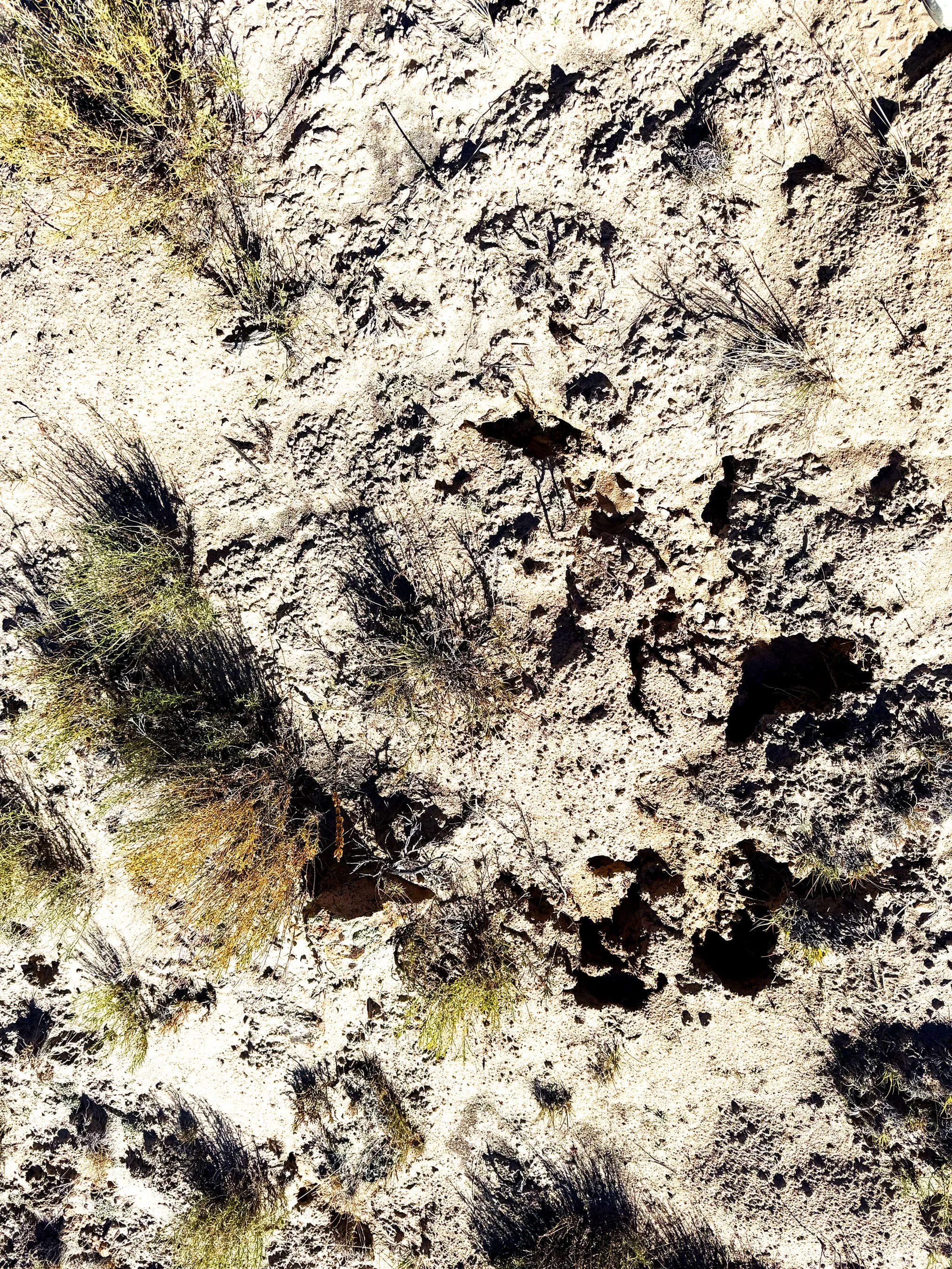 Tufa-Like Surface