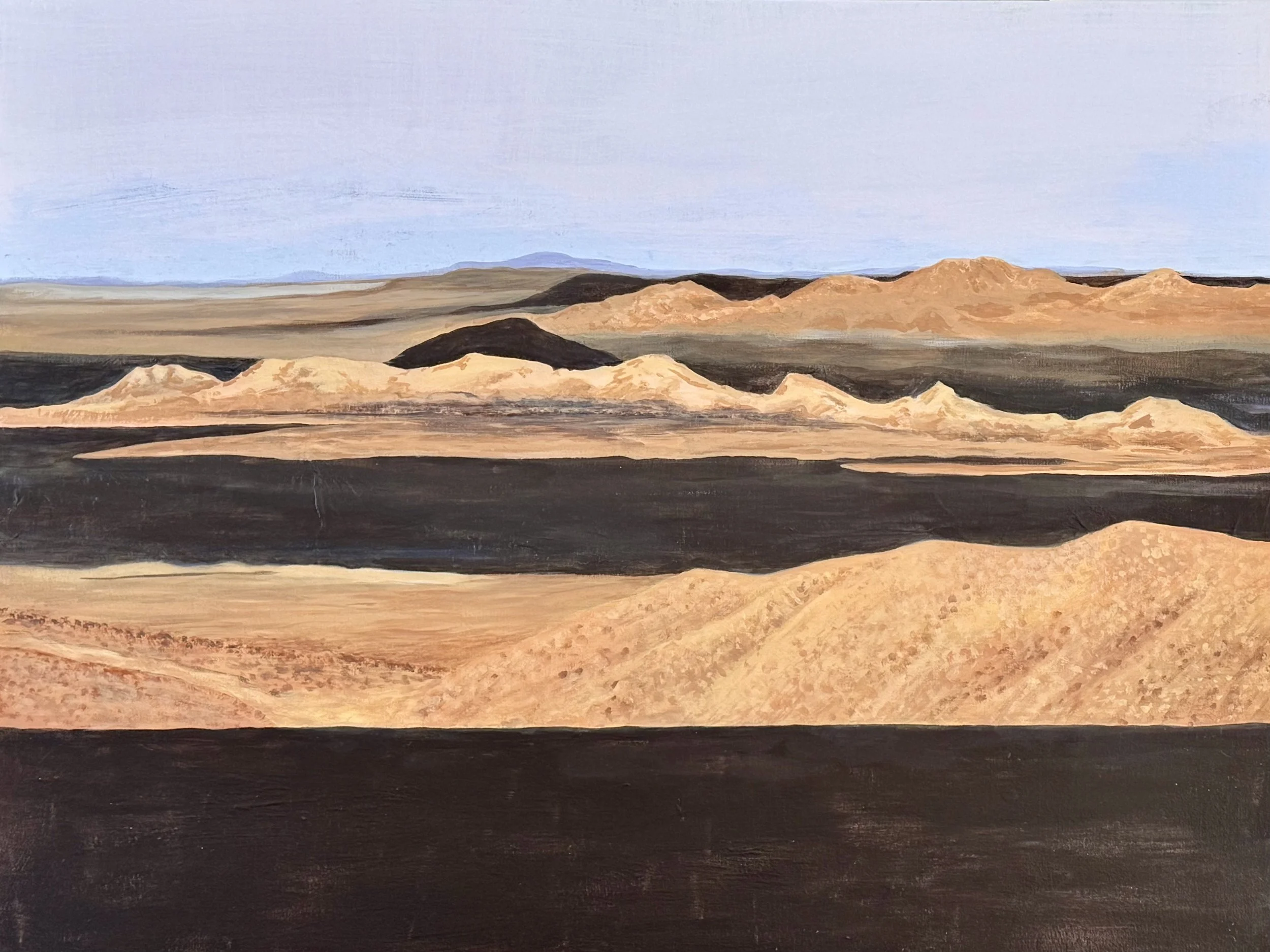 Bones of the Pleistocene