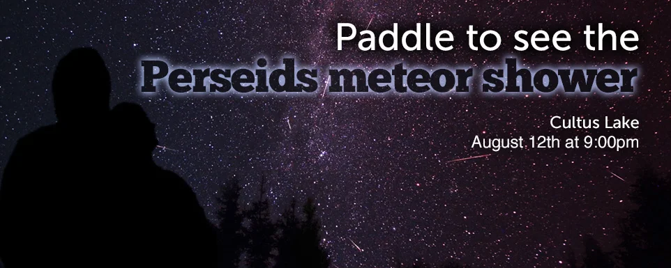 Meteor shower Banner.jpg