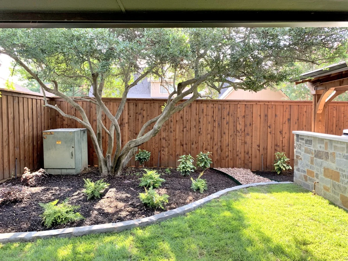 Grapevine Back Yard Renovation