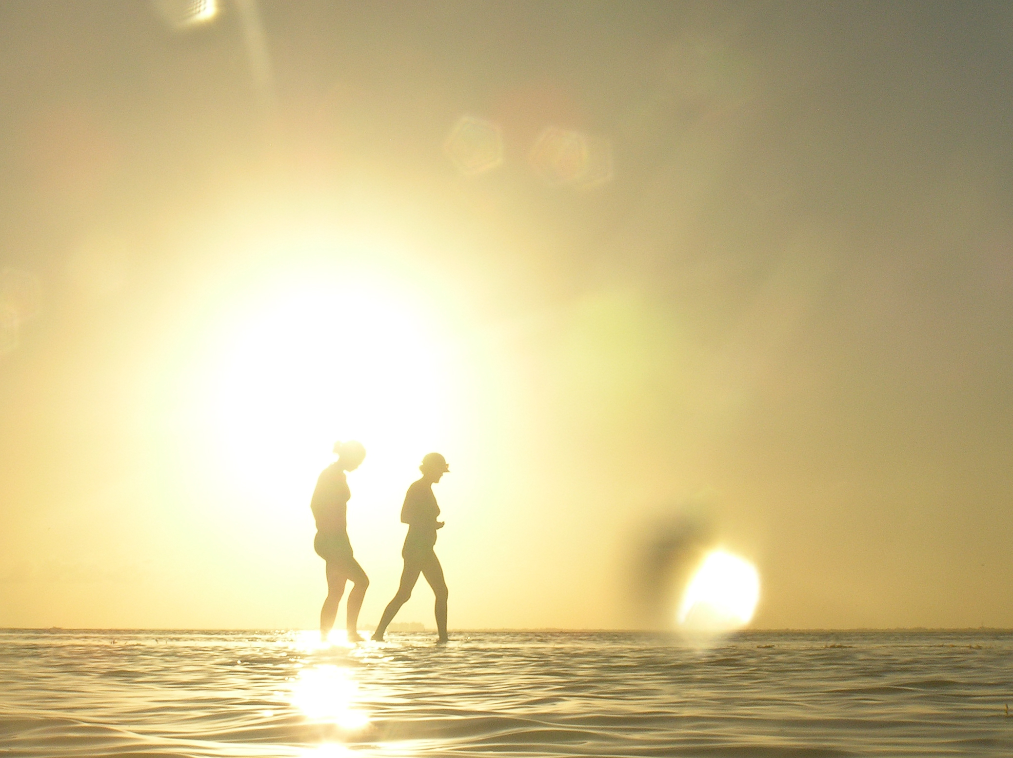 alue optics sunglasses backlit sandbar