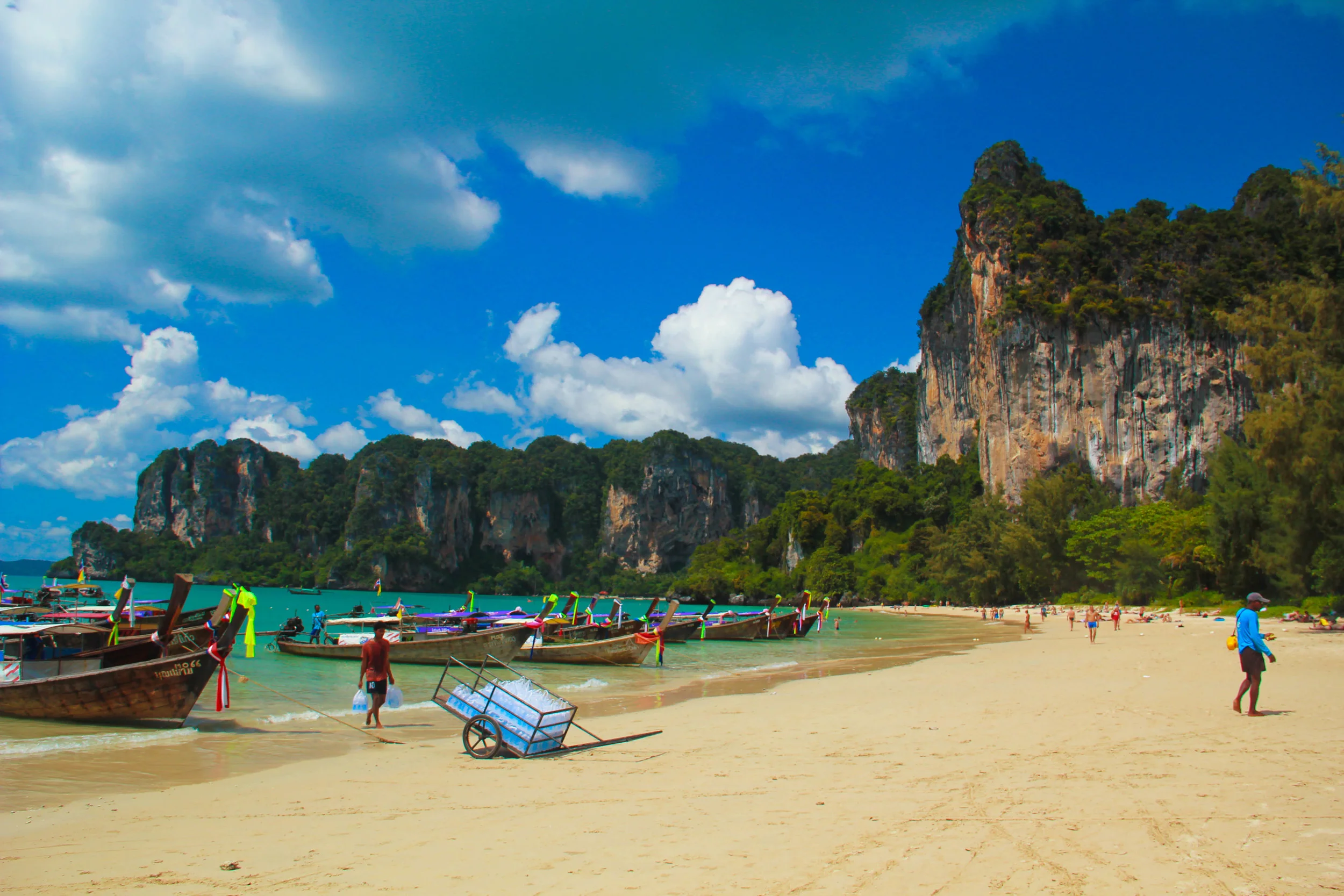alue-optics-cheetah-boats-beach.jpg