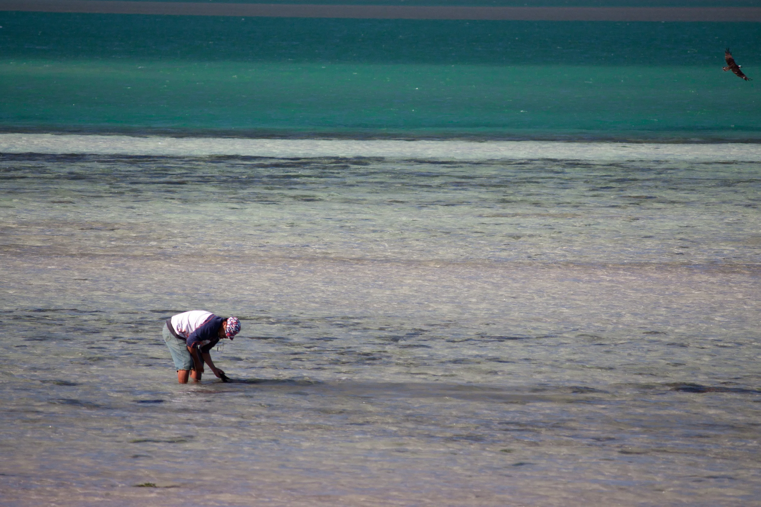 IMG_8094.jpg