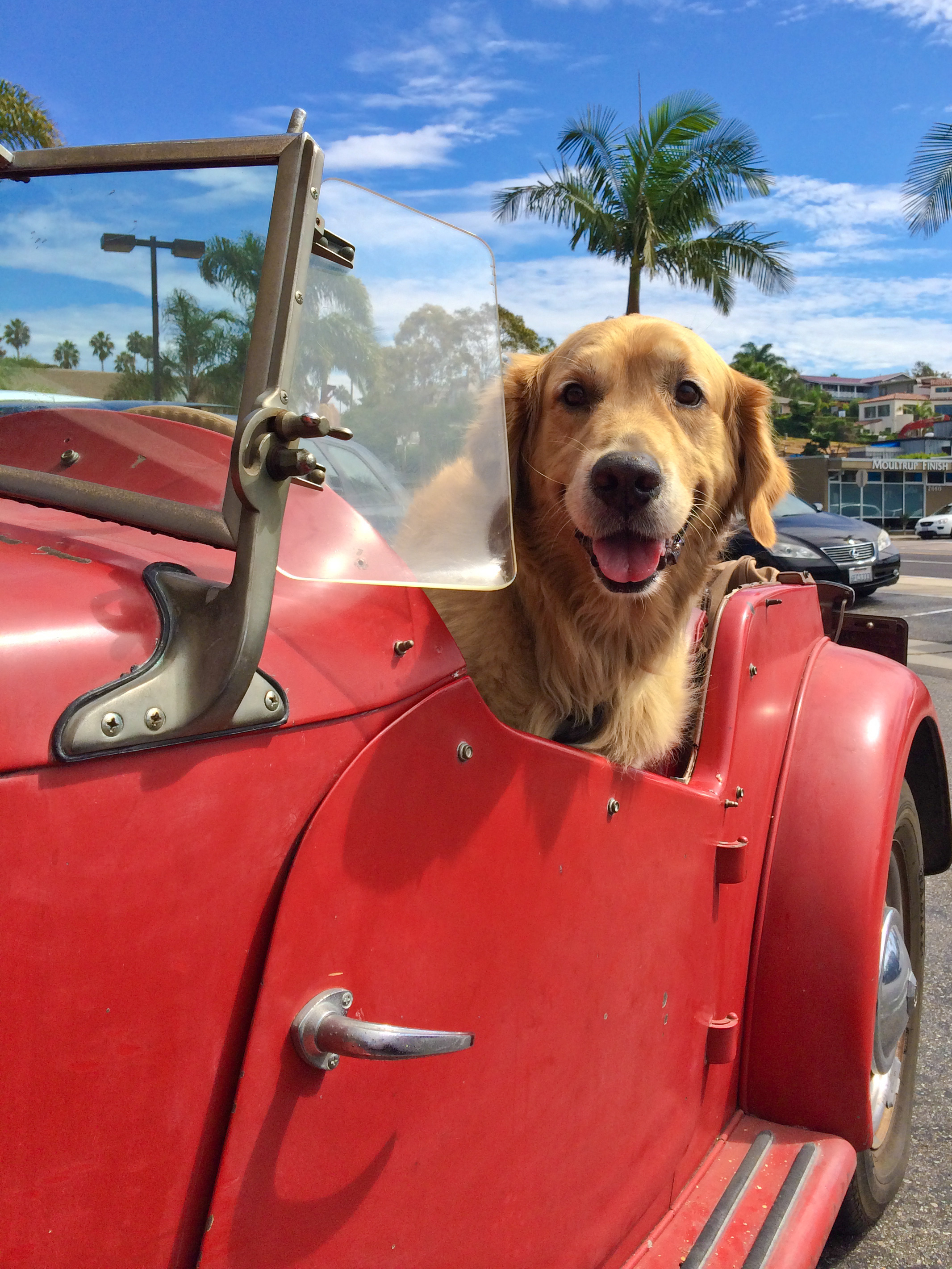 Open-air Sunday drives.