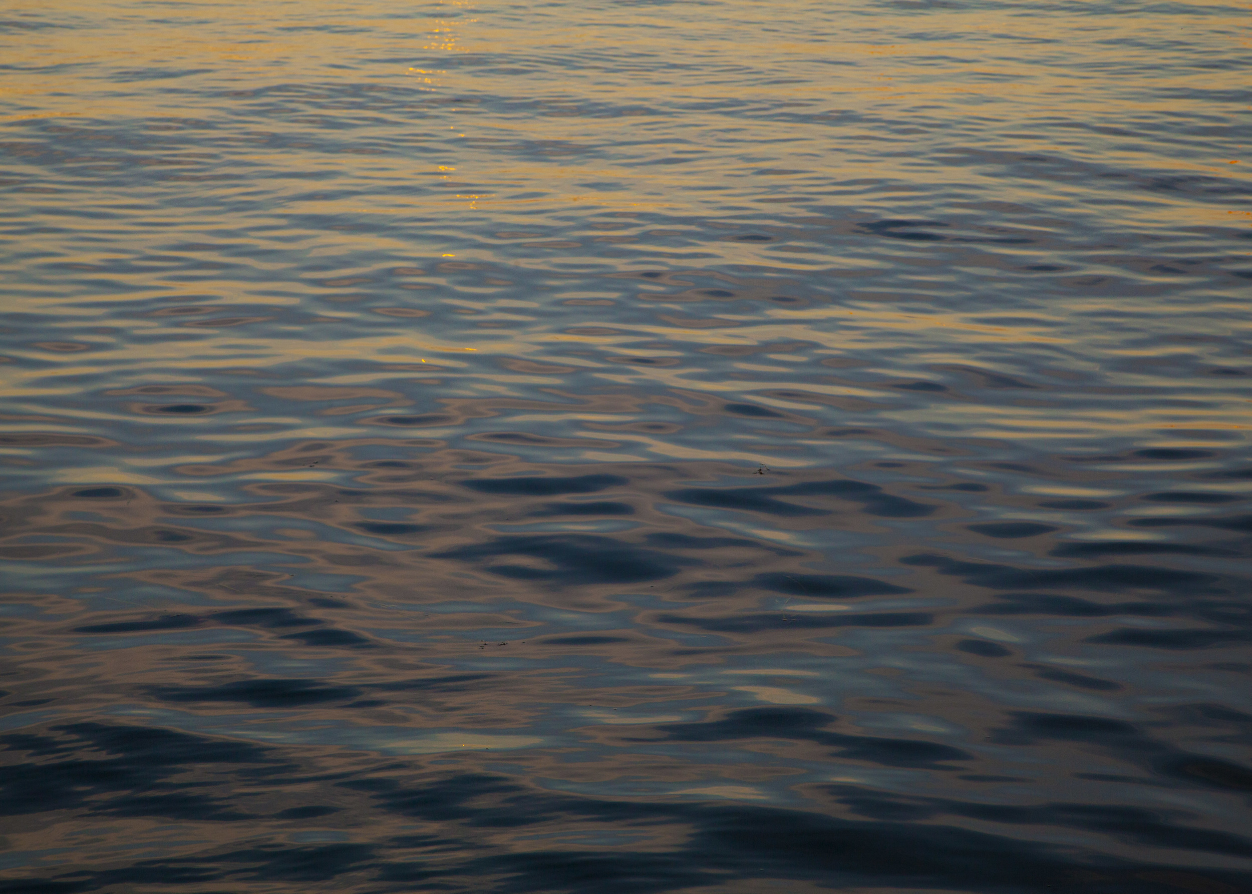 Evening glass.
