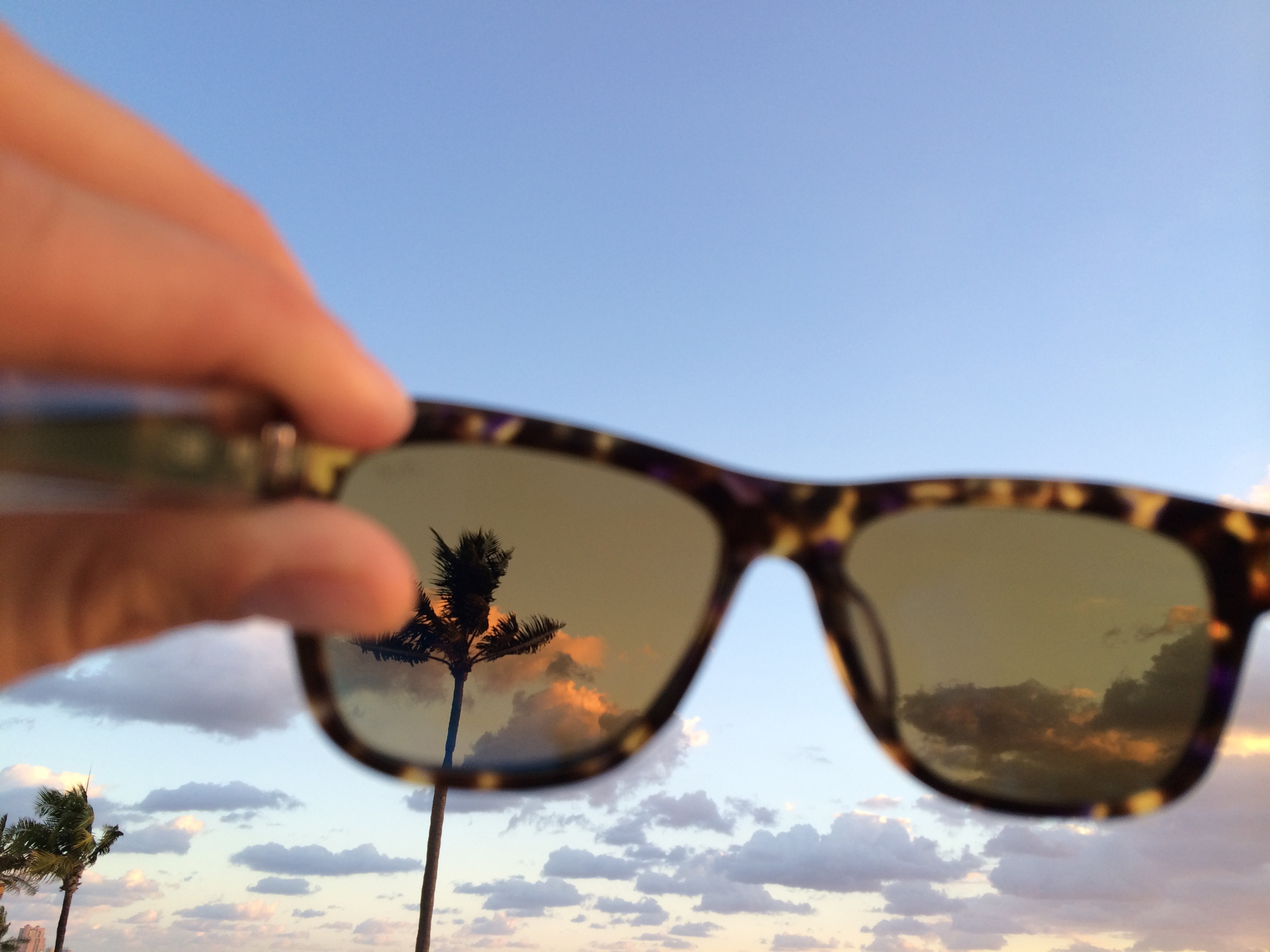Palms and sky.