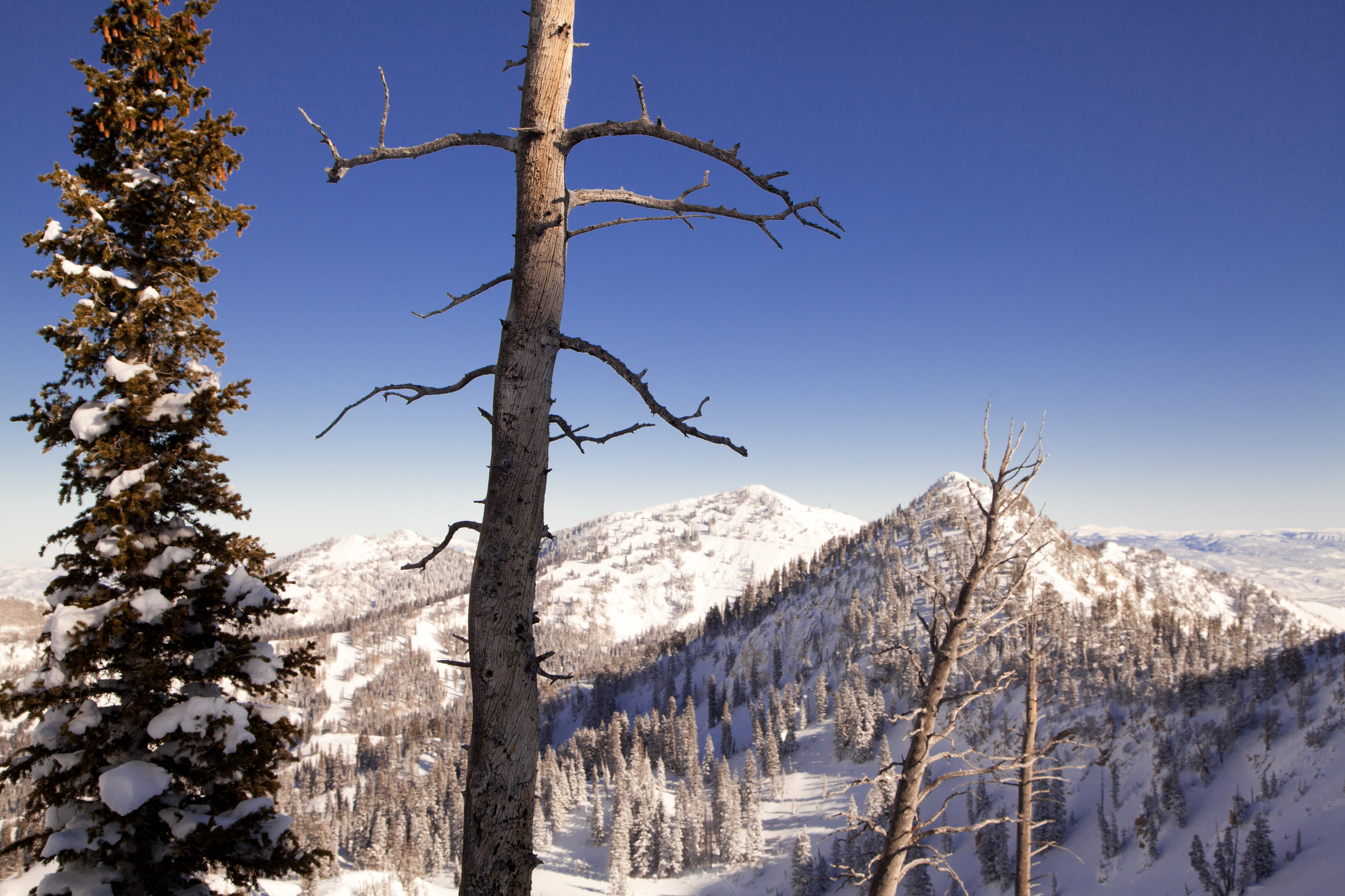 Sunset Peak.