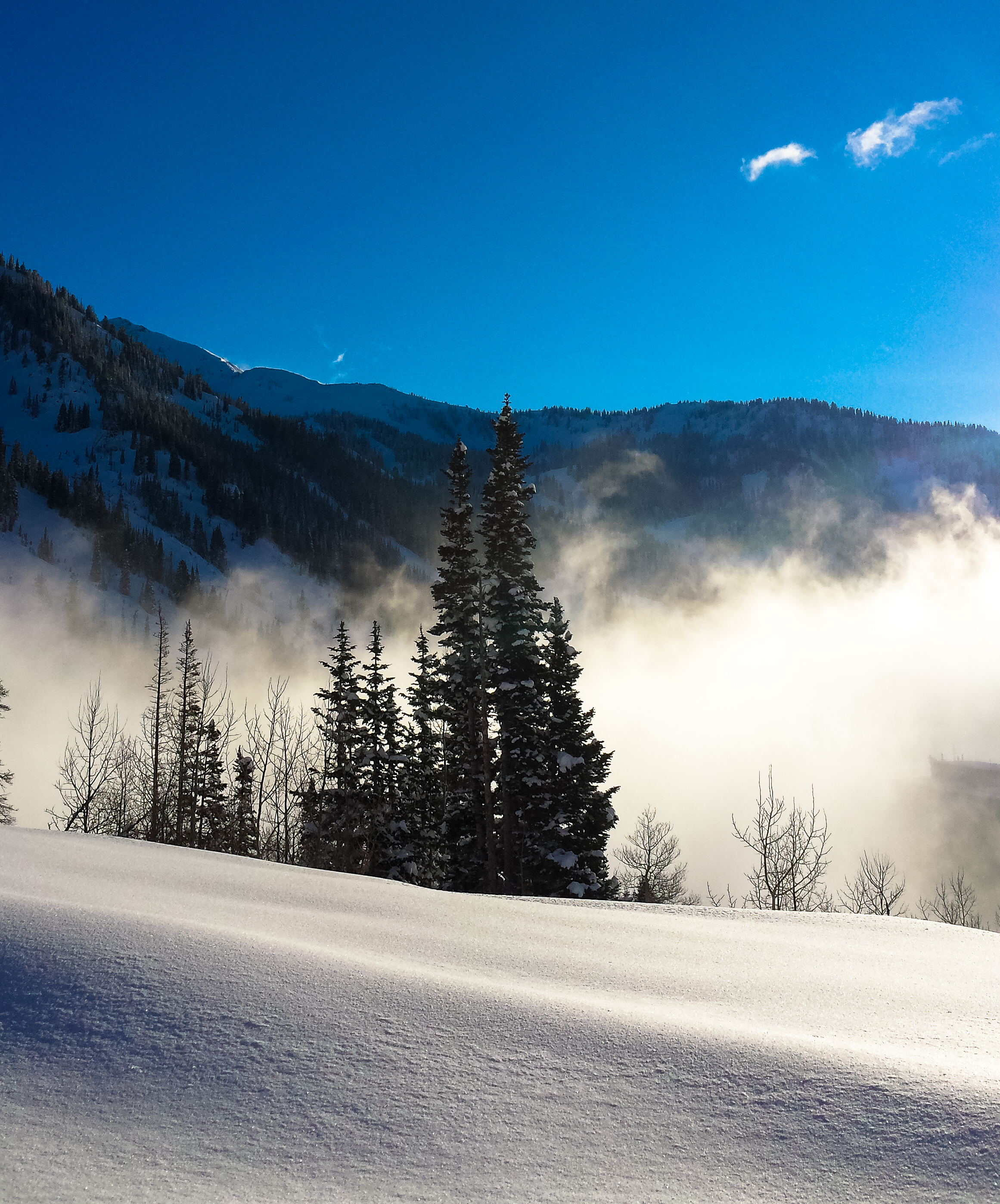 Untracked.
