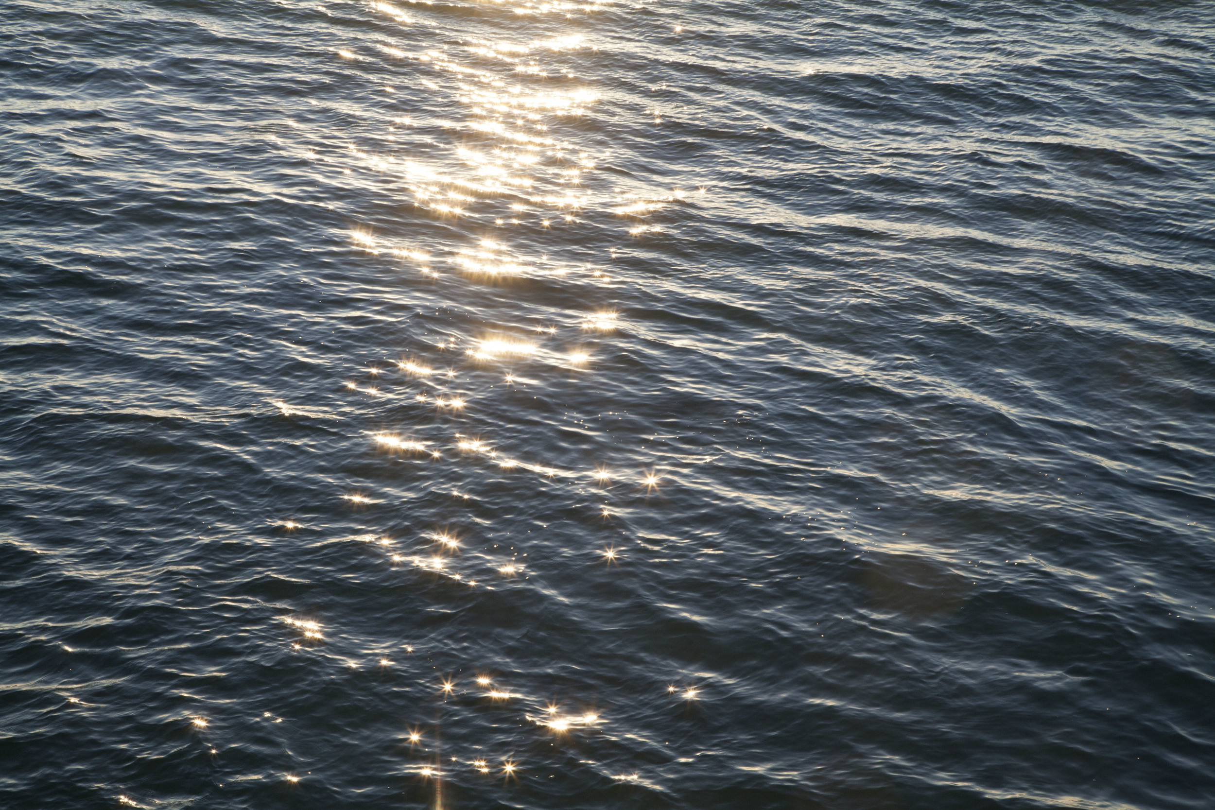 Evening light.