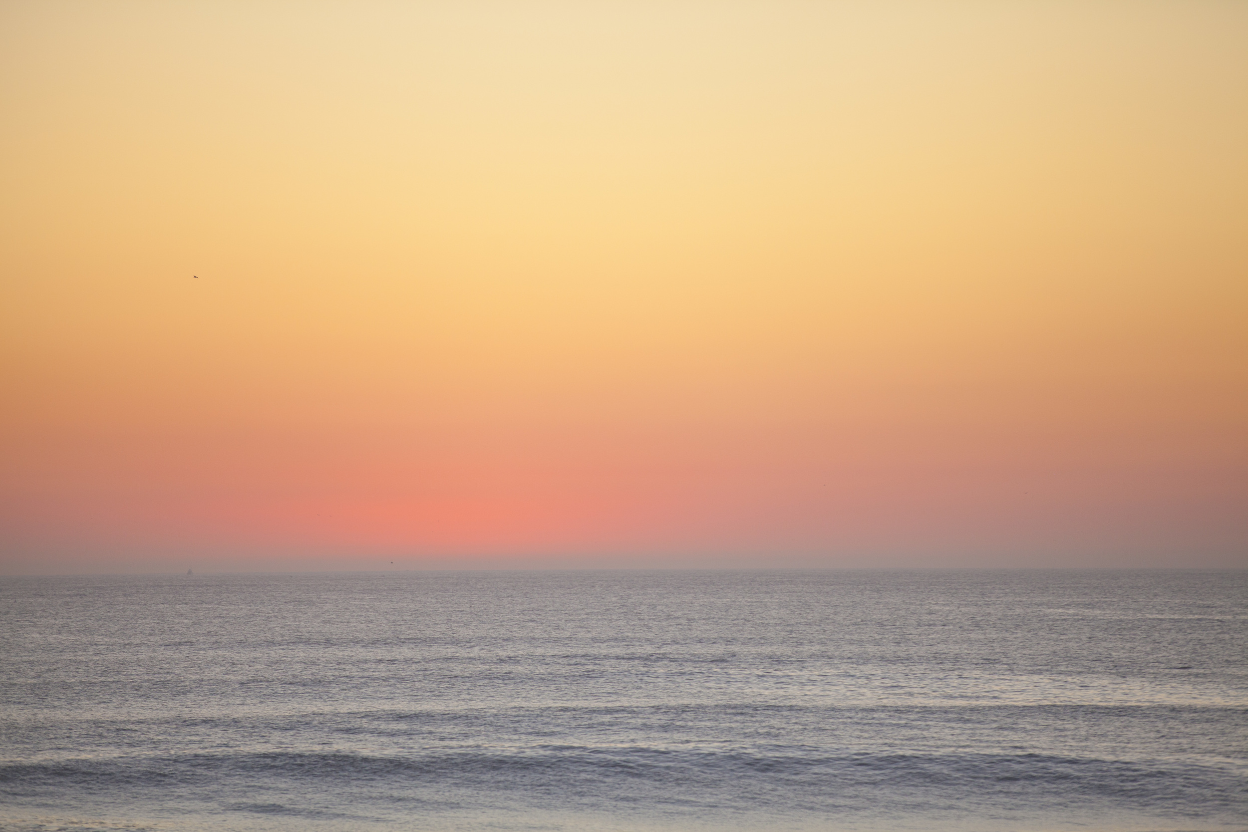 Gradient.