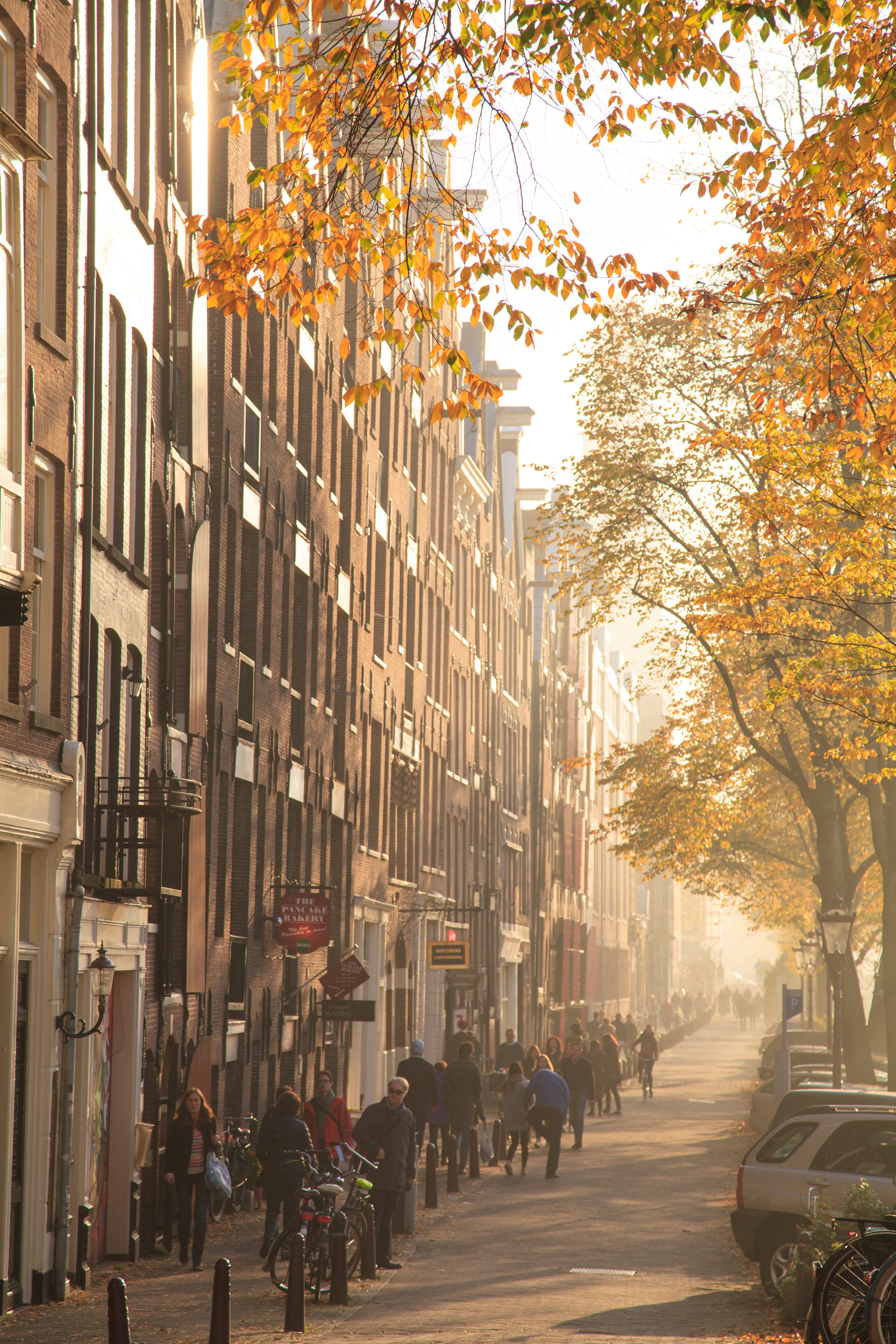 Prinsengracht street scene.