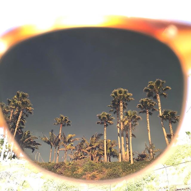 Laguna palms through the Alue One in Watermark Chestnut 🌴#wearalue