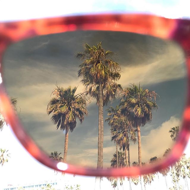 Boardwalk palms through the Alue Ten in Robin Tortoise 🏖 #wearalue