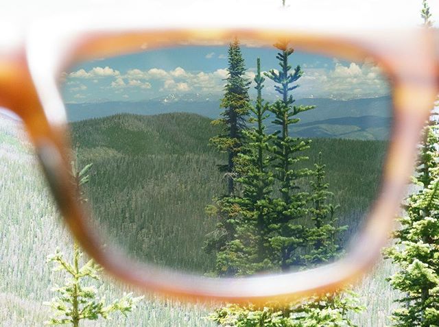 The Fraser Valley through the Alue Six. 🌲