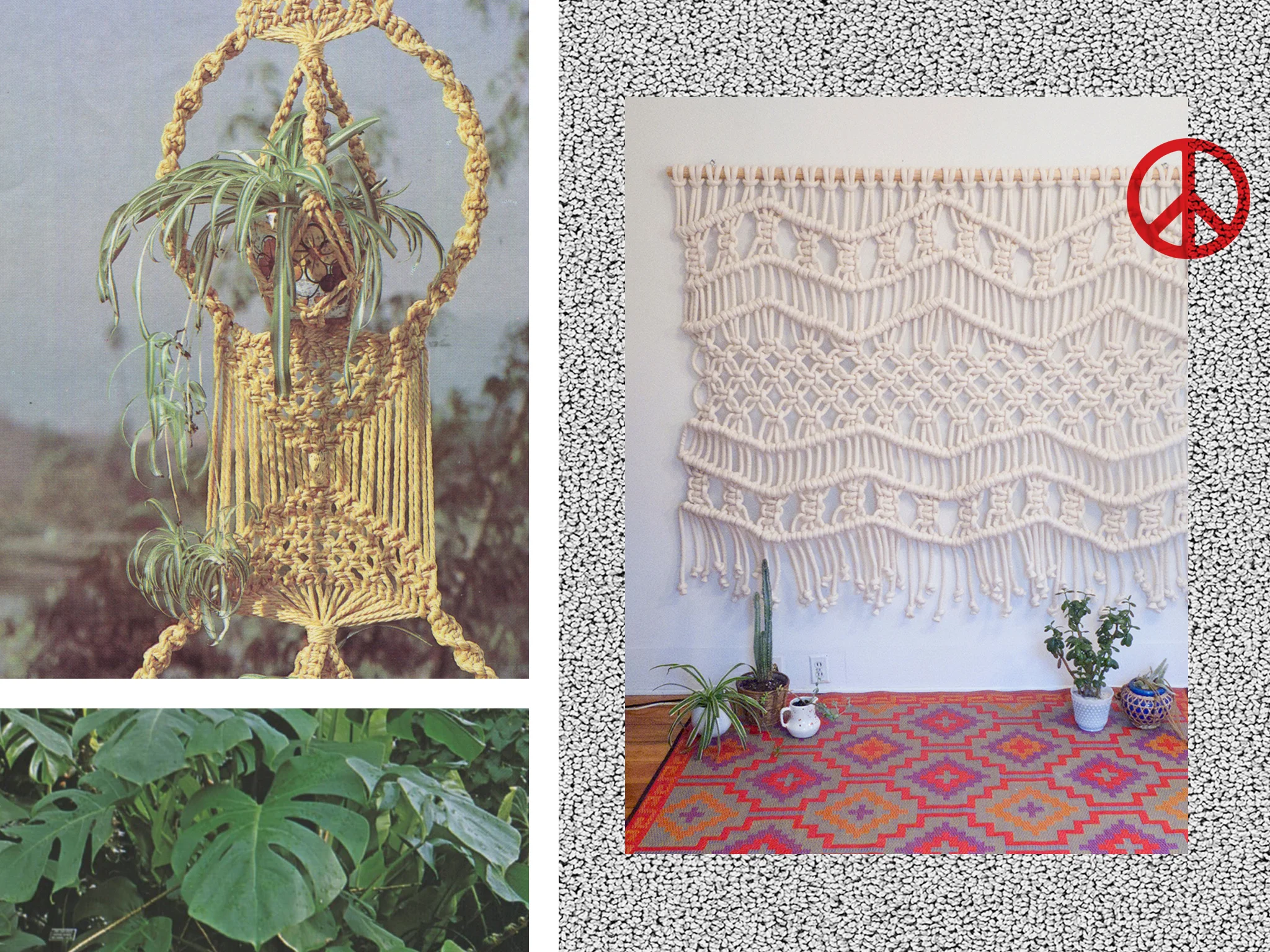 Collage3.jpg