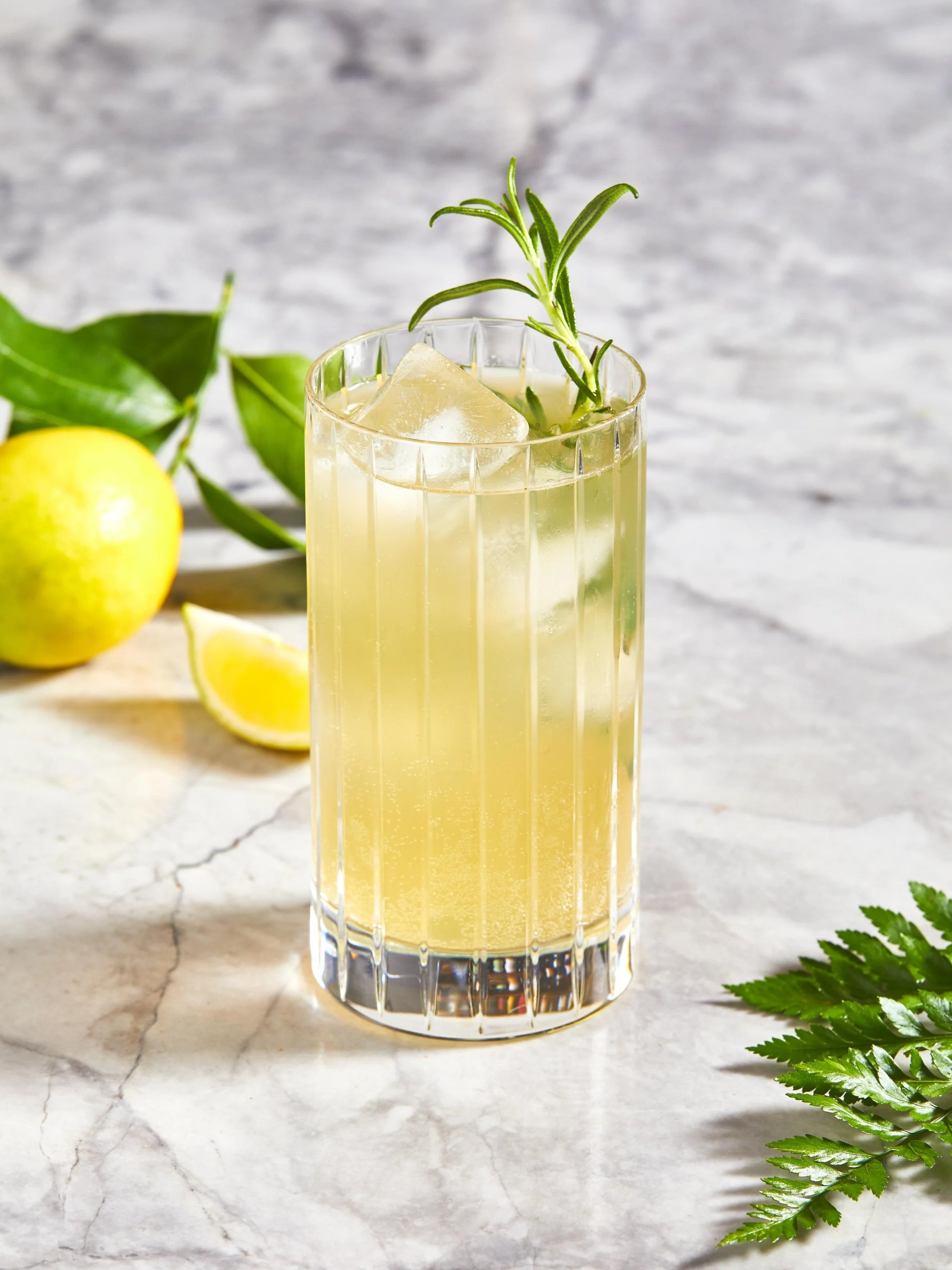 170407_SLANE_Cocktail_ITV1530.jpg