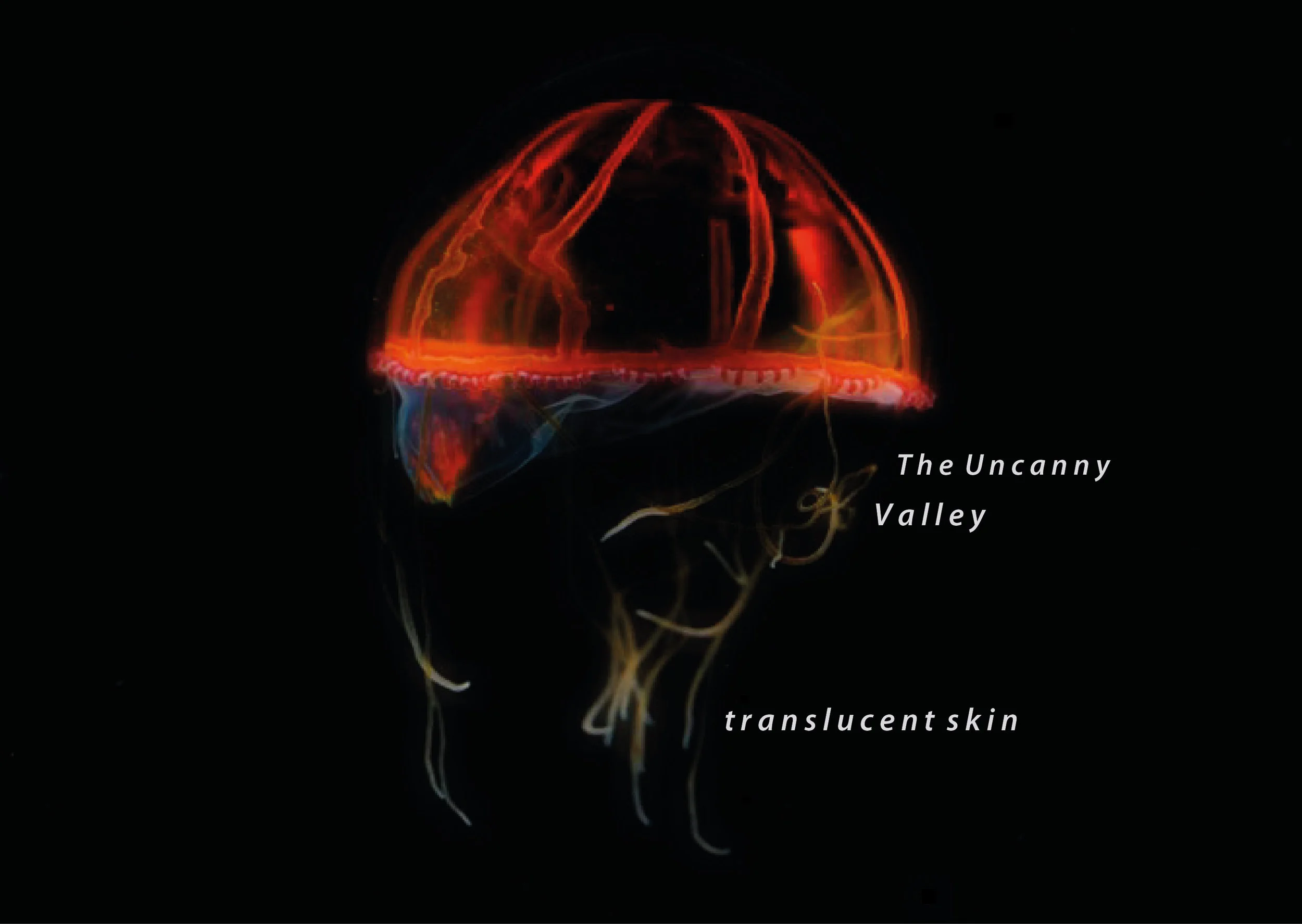 Translucent_Skin_CD.jpg