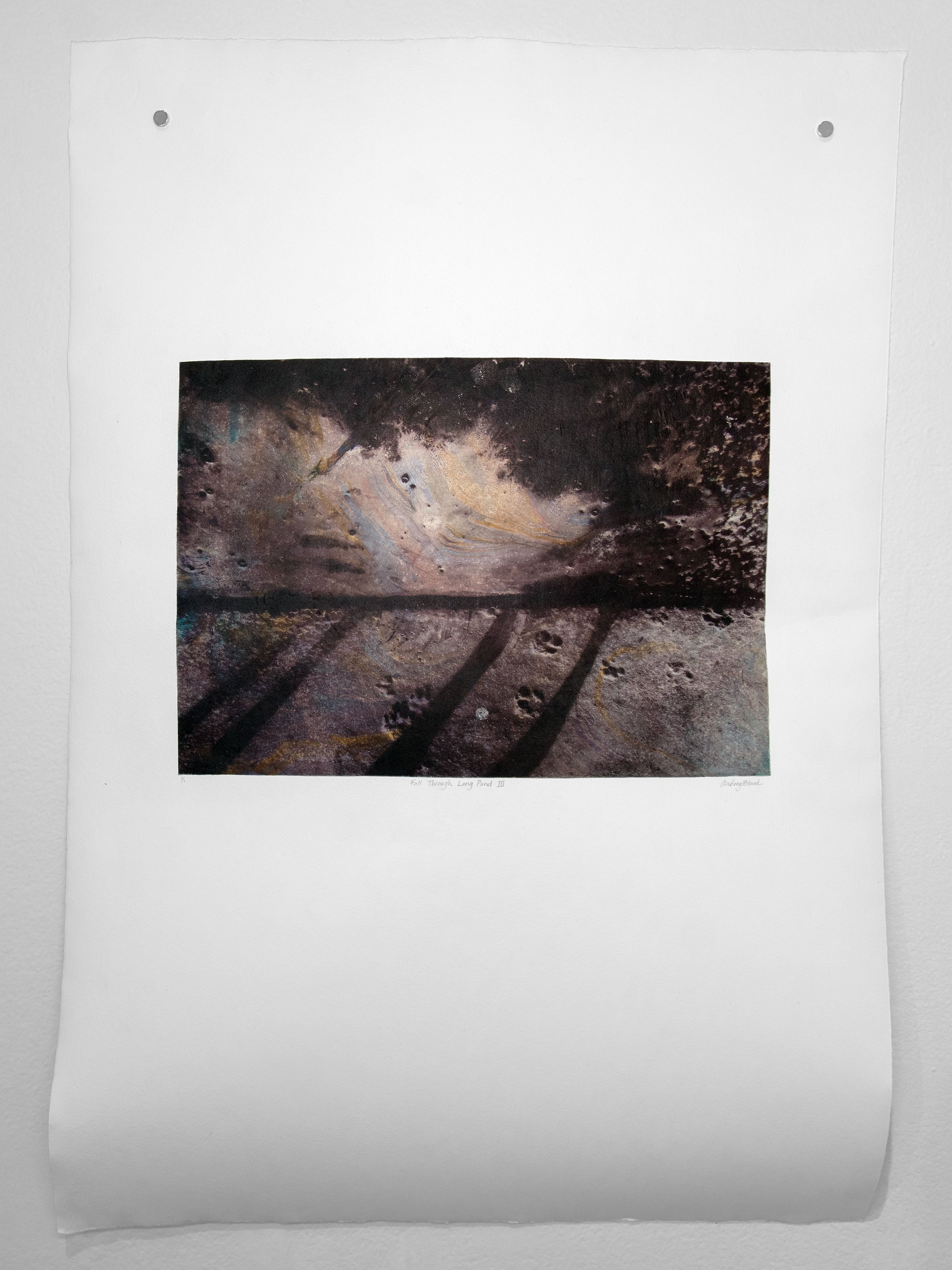 Fall Through Long Pond I