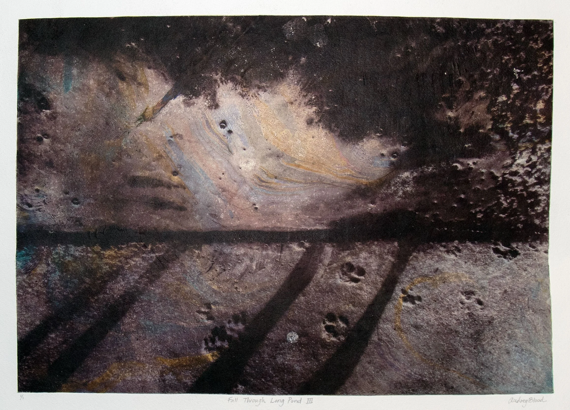 Fall Through Long Pond I (detail)