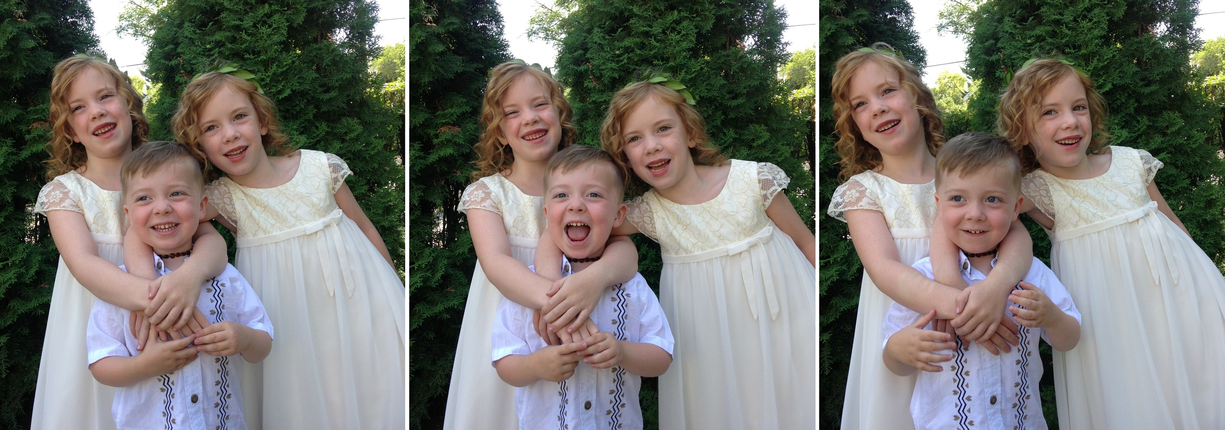 my brood