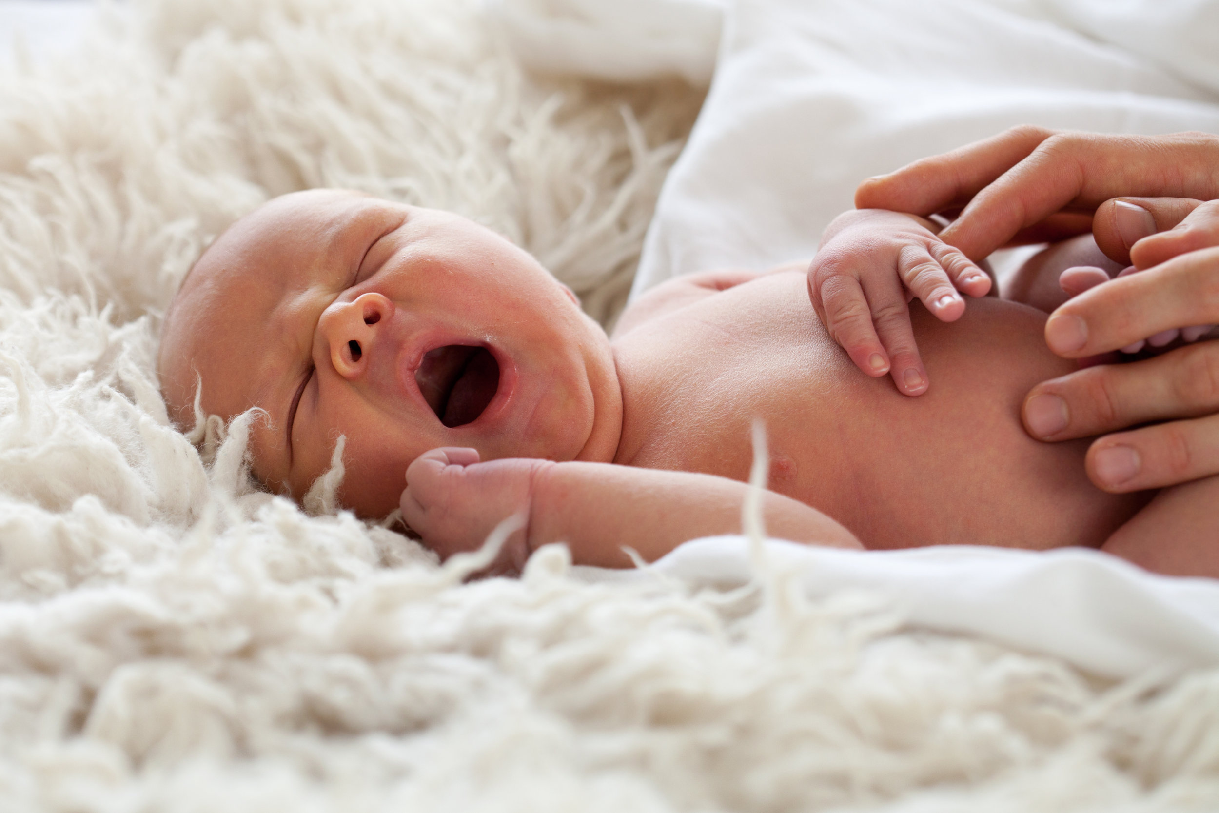 Five Elements Birth Services Birth Doula Postpartum Doula Childbirth Classes Calgary.jpg