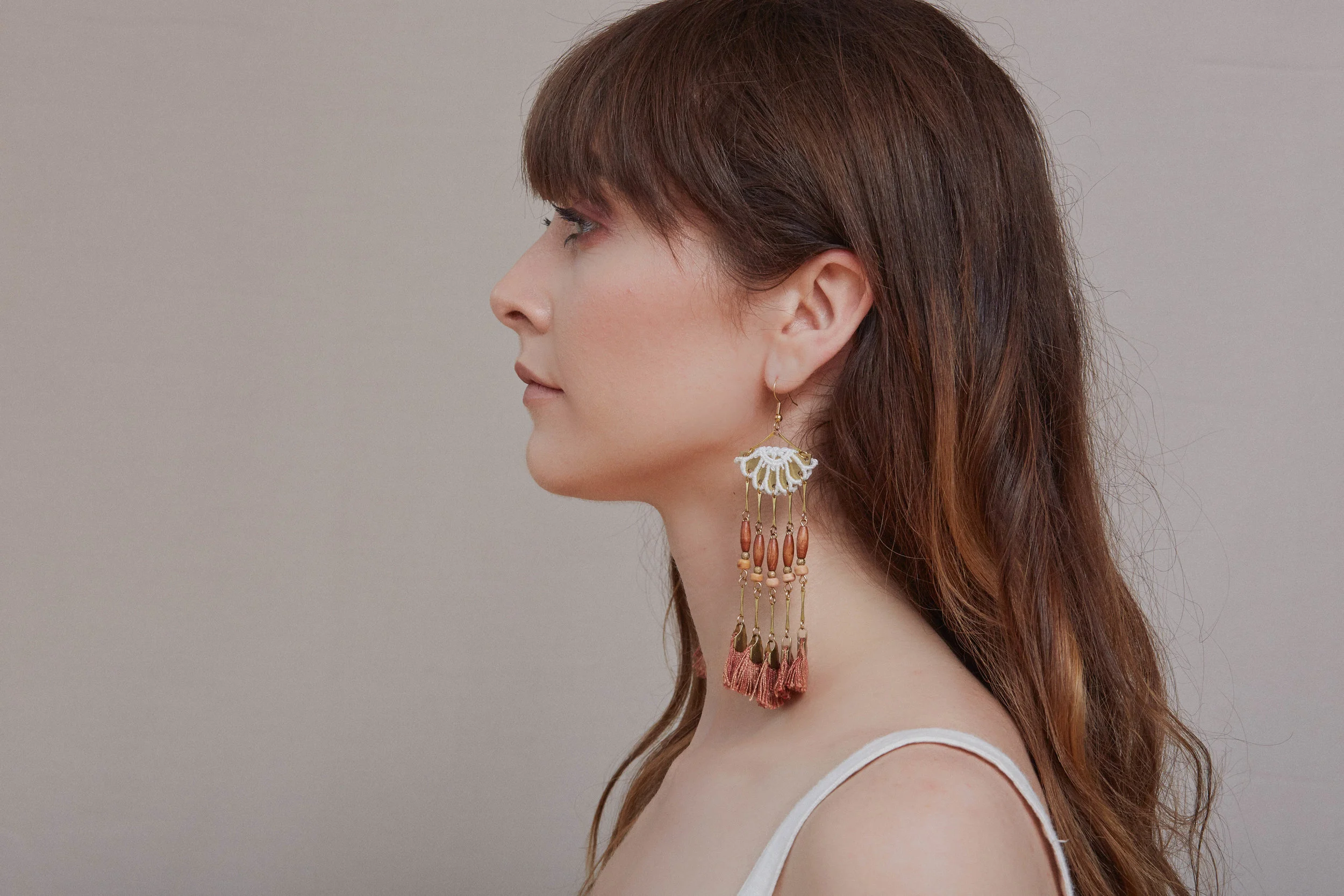 Ocotillo earrings.jpg