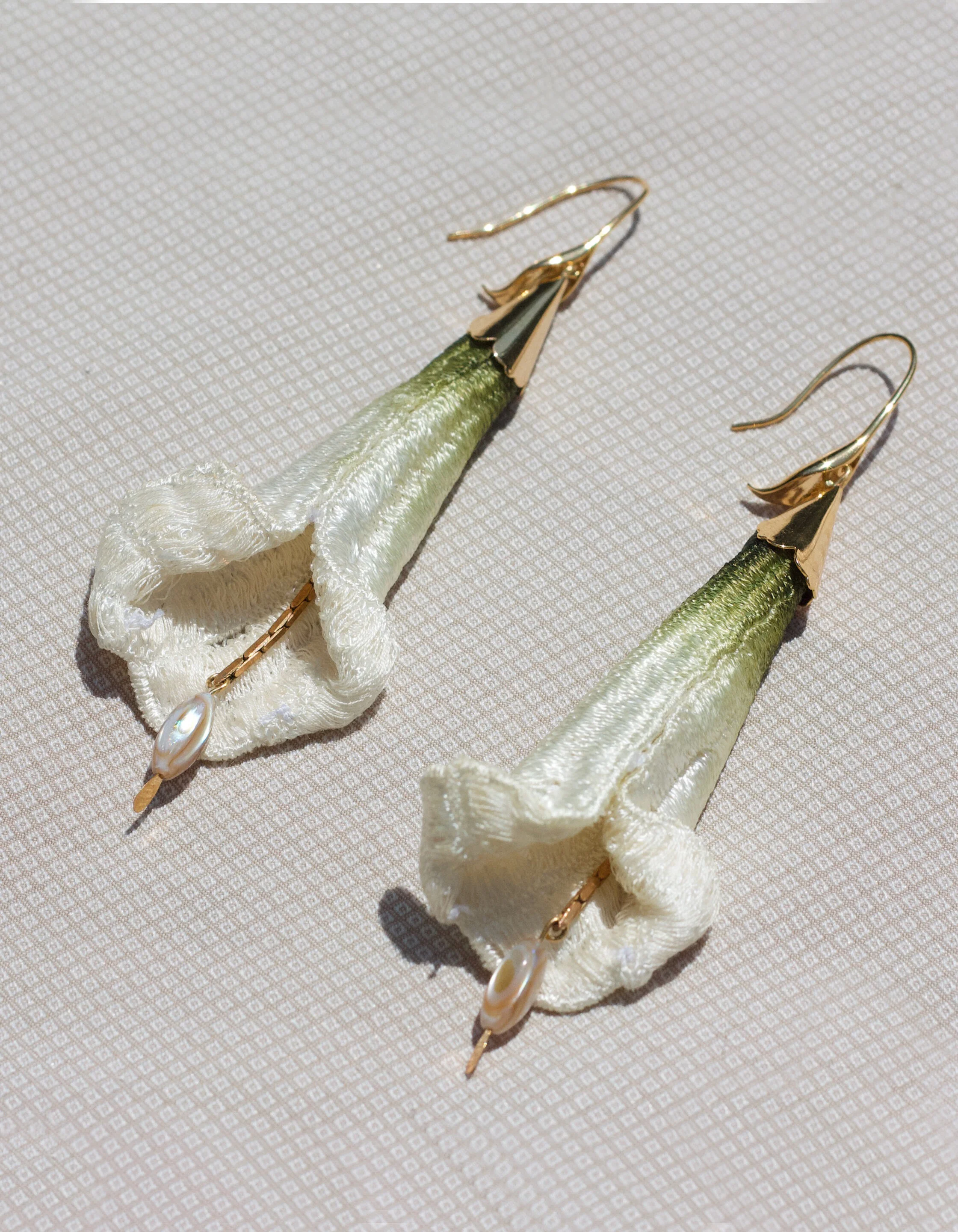 Brugmansia green gradient vert.jpg