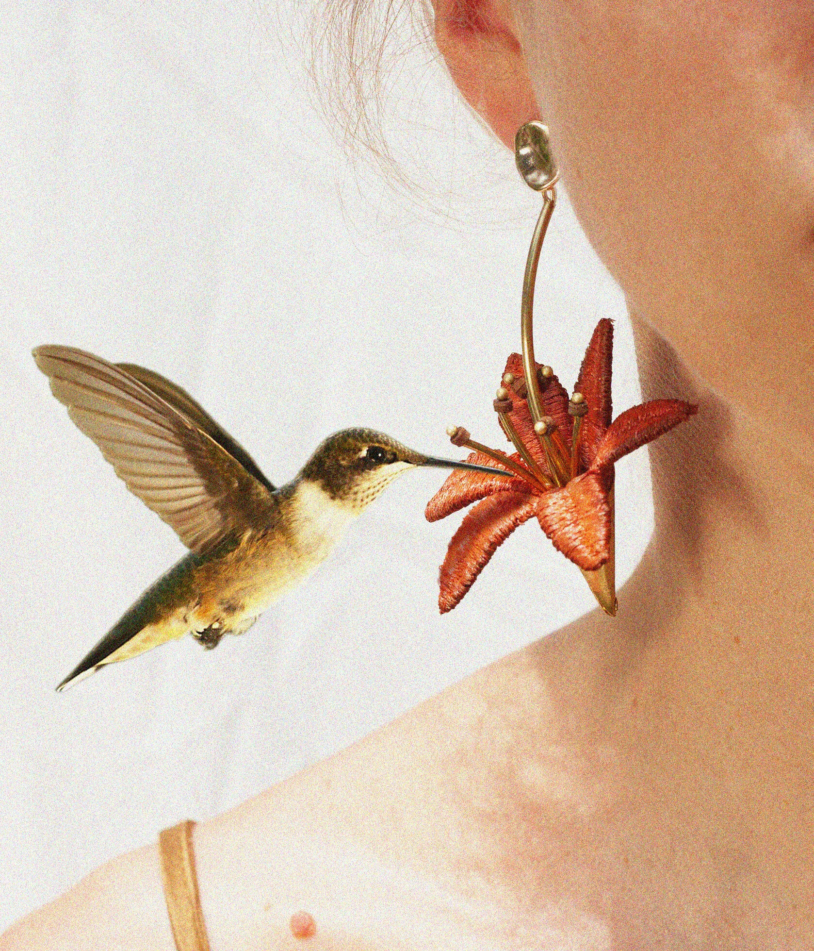 hummingbird on Lillium test ombre.jpg