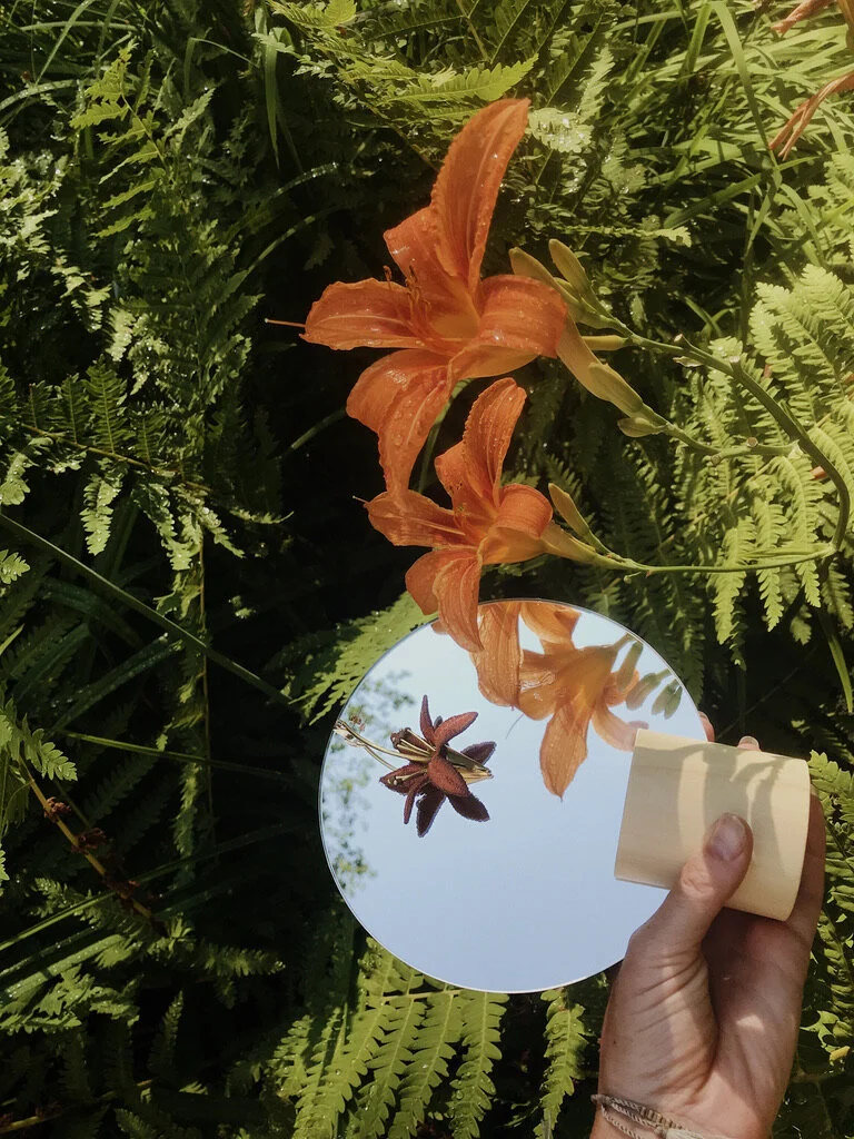 Lilium and lilies.jpg